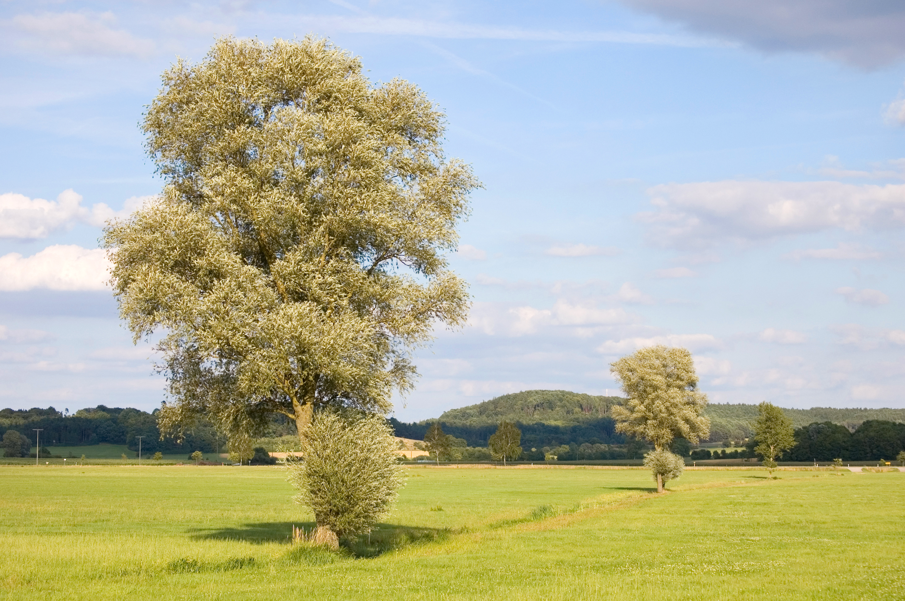 Landscape near Colmberg 20080805 SK 0001
