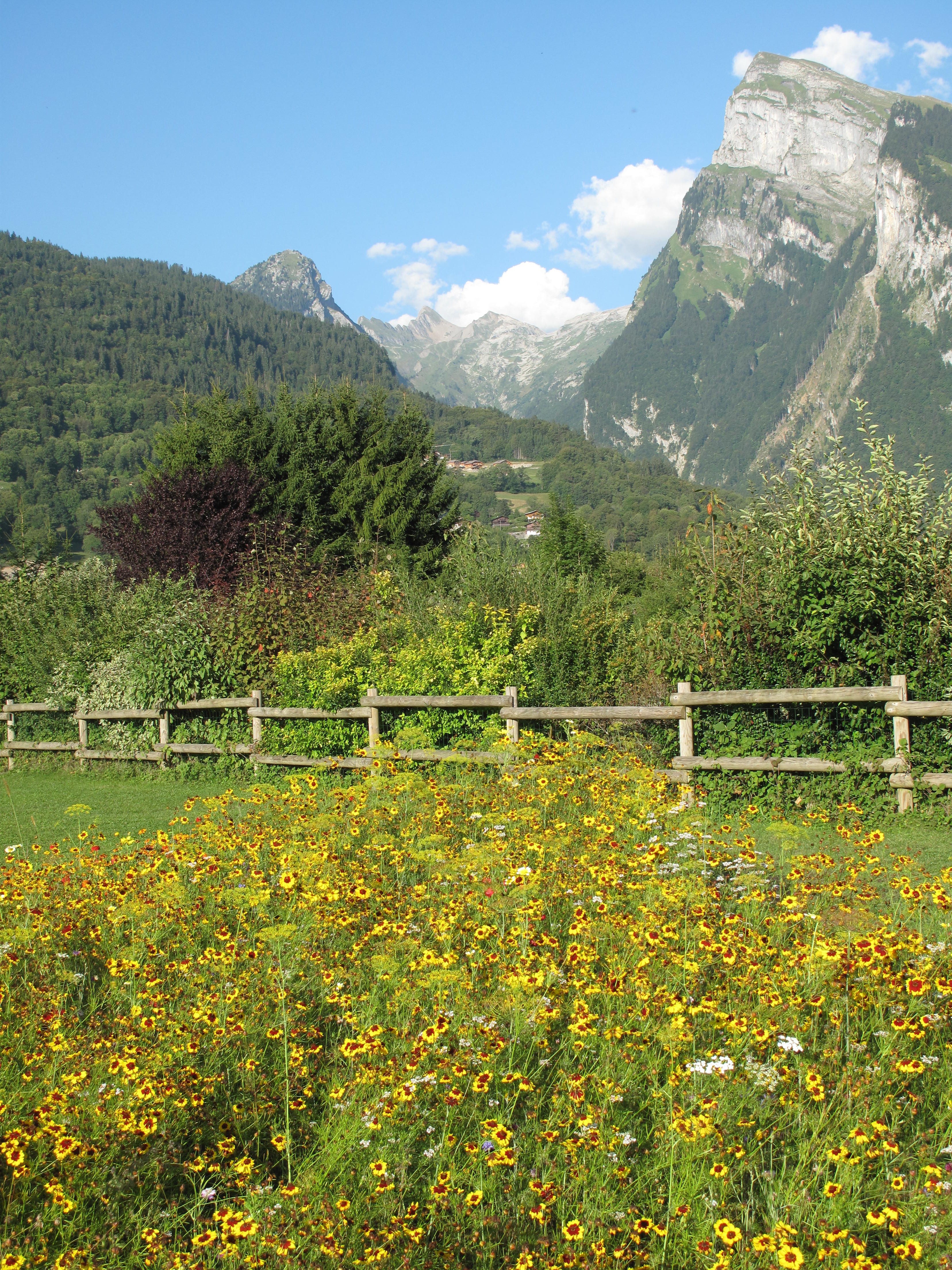 Le Criou from Samoens