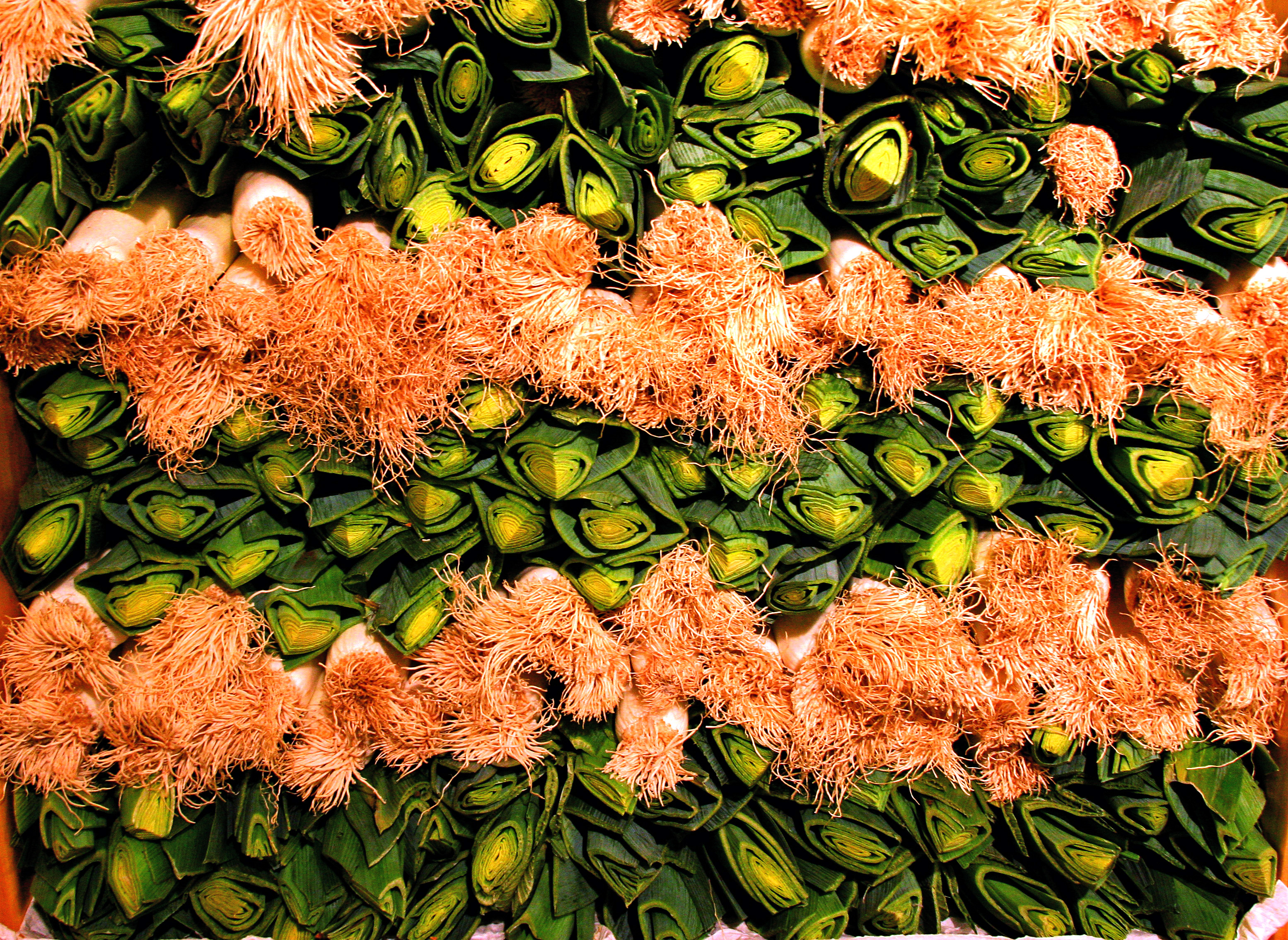 Leeks