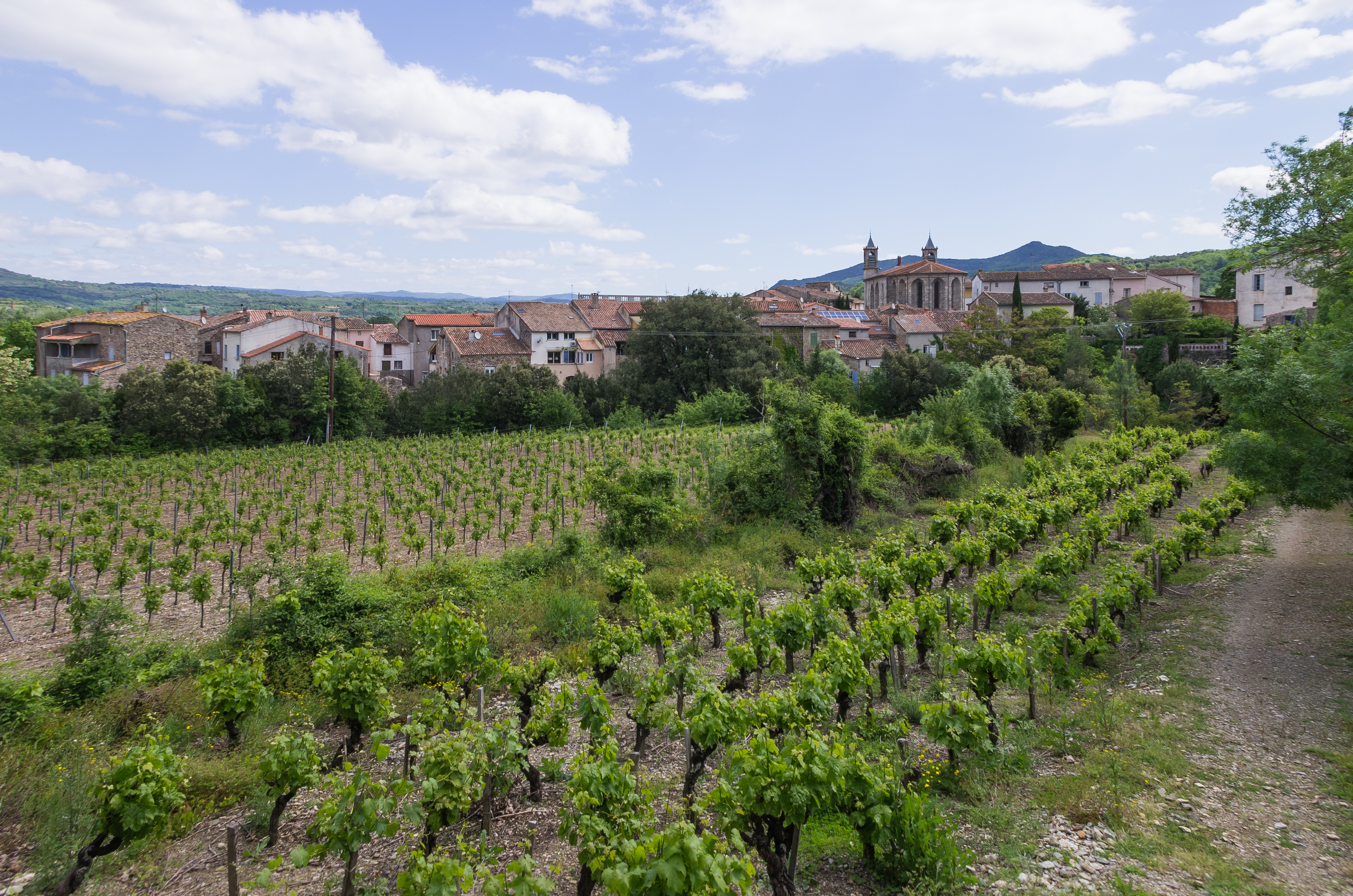 Les Aires, Hérault 04