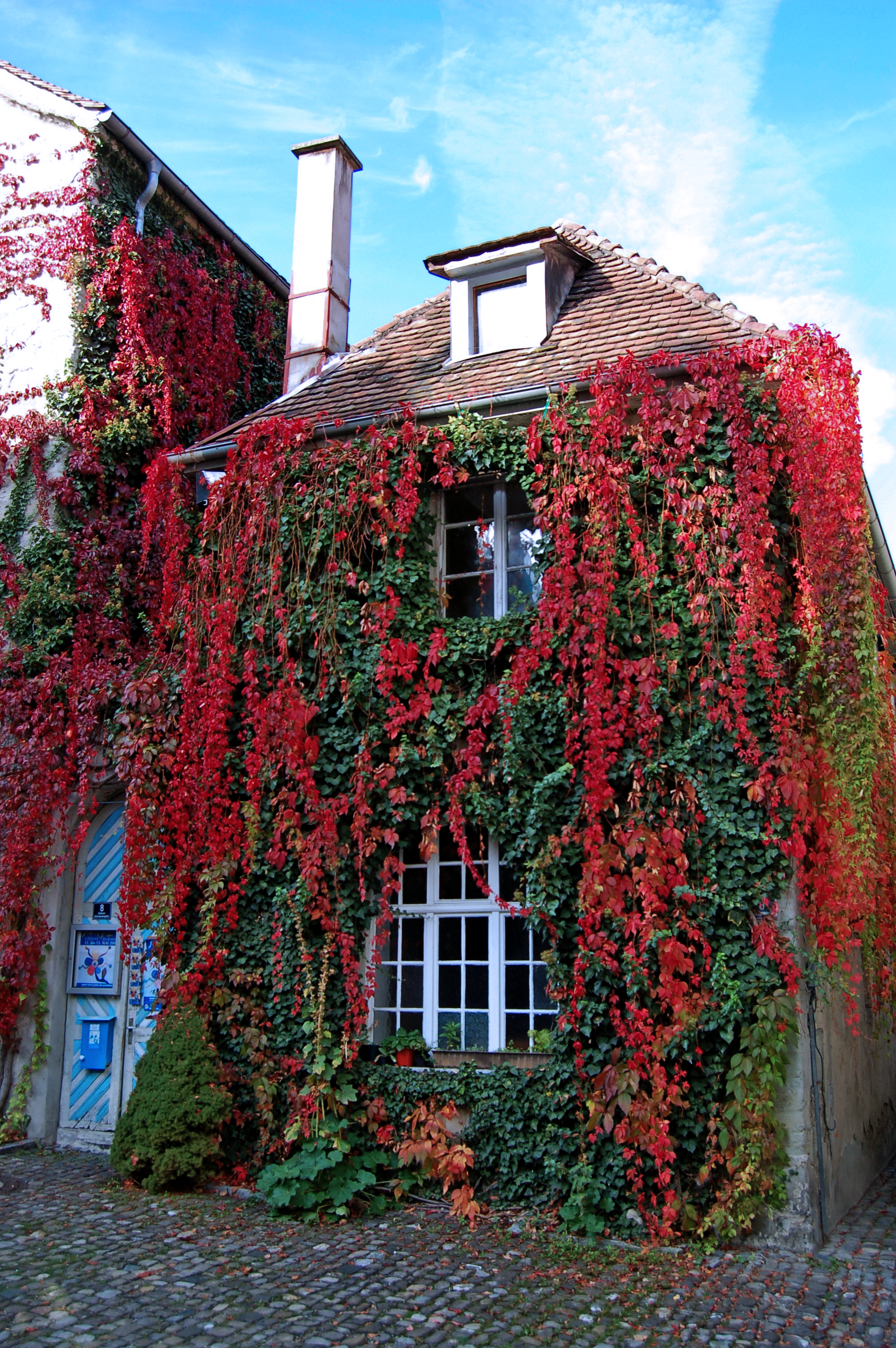 Lindau Altstadt (35) (9948981865)