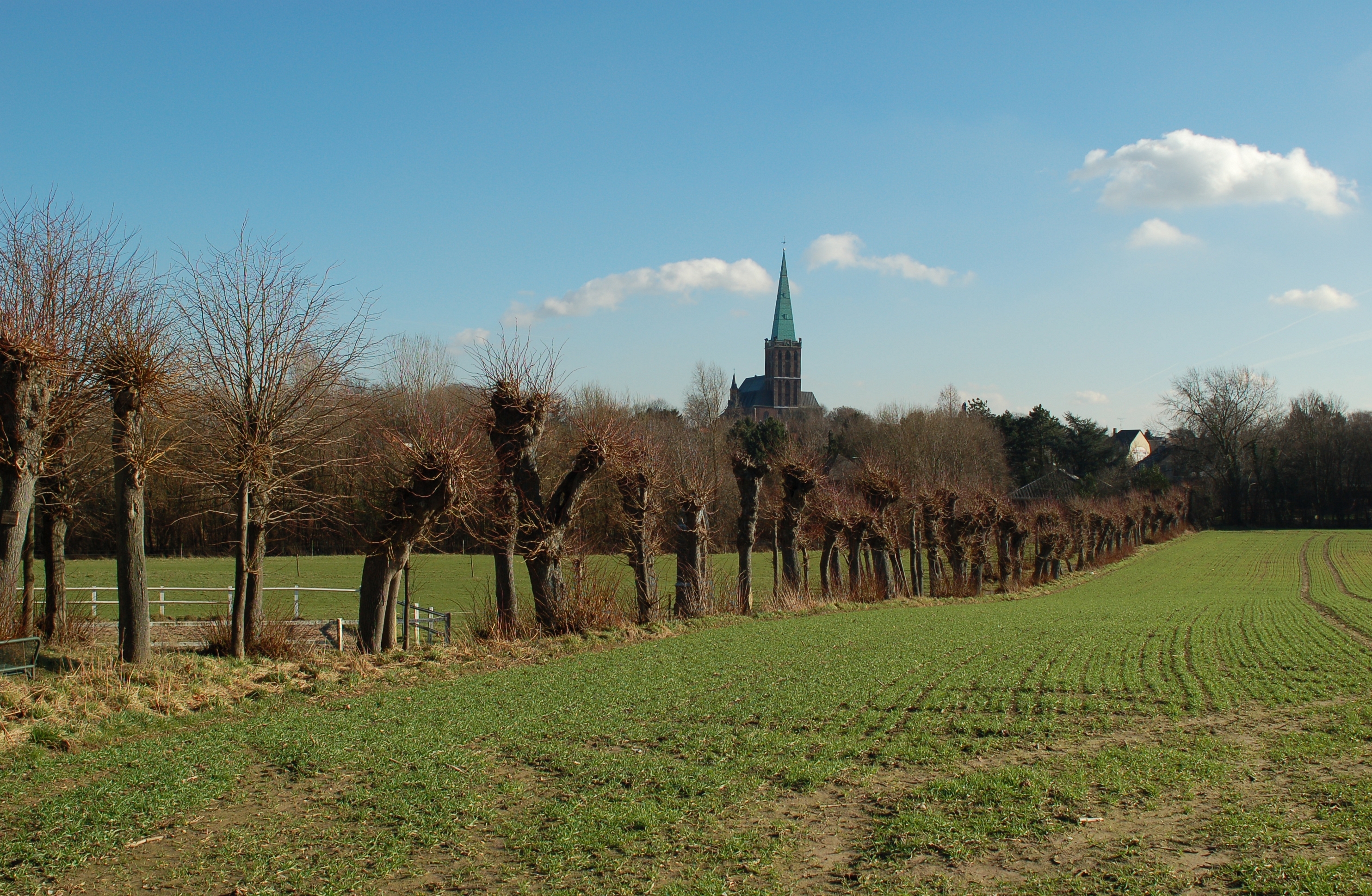 Lindenallee zum Schlangenkapellchen