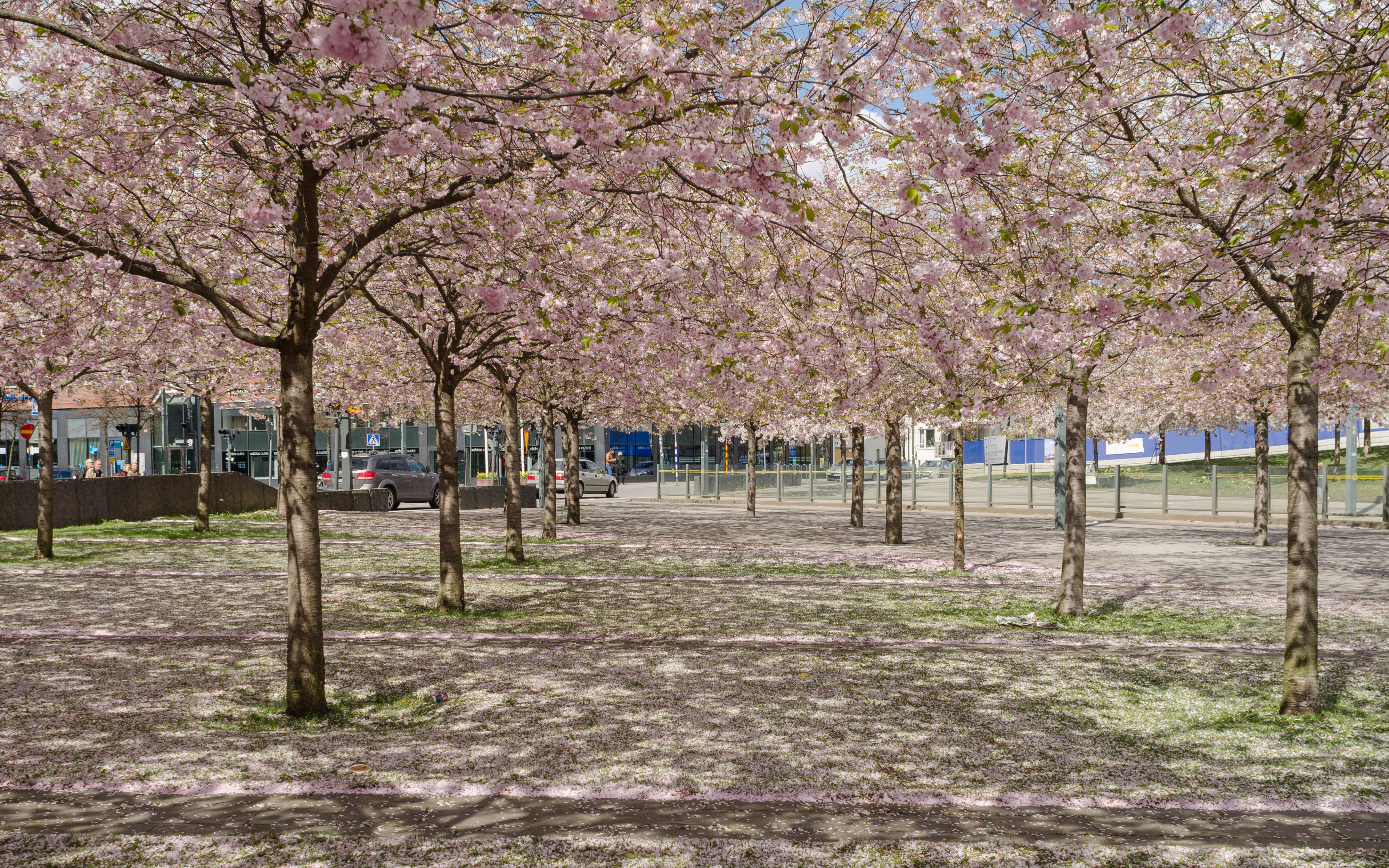 Luma May 2015 02