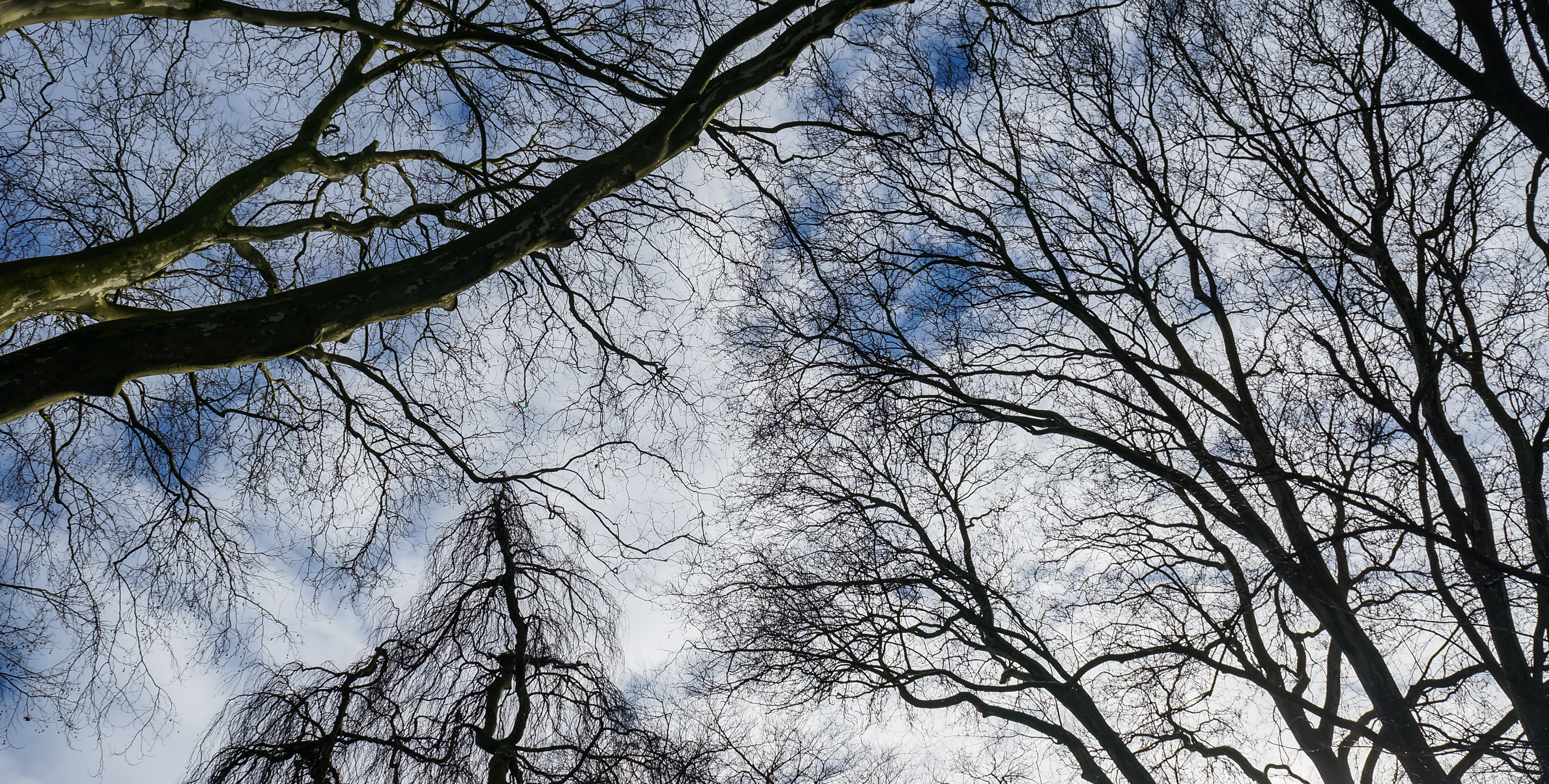 Münster, Park Sentmaring -- 2015 -- 01059