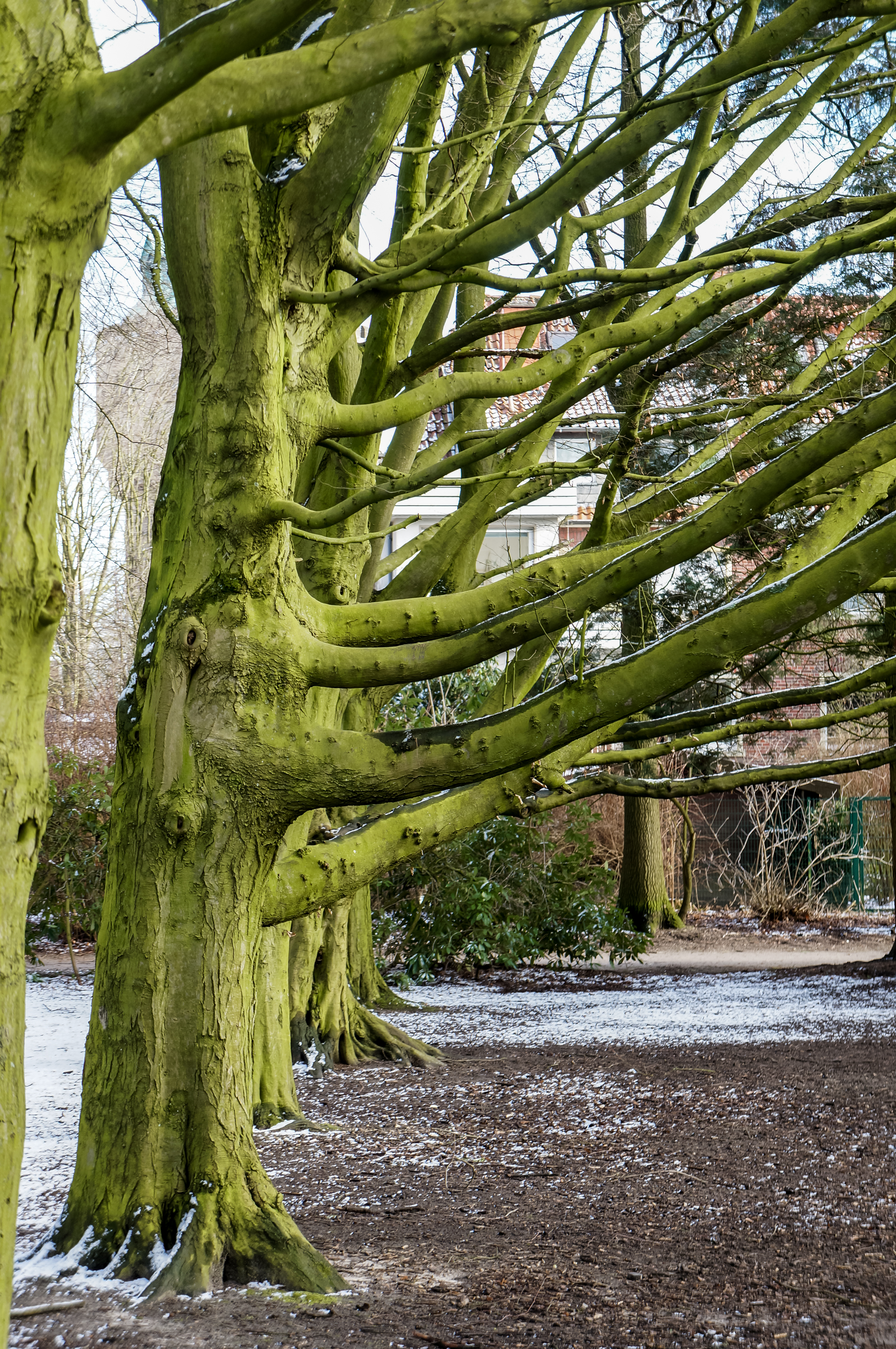 Münster, Park Sentmaring -- 2015 -- 01073