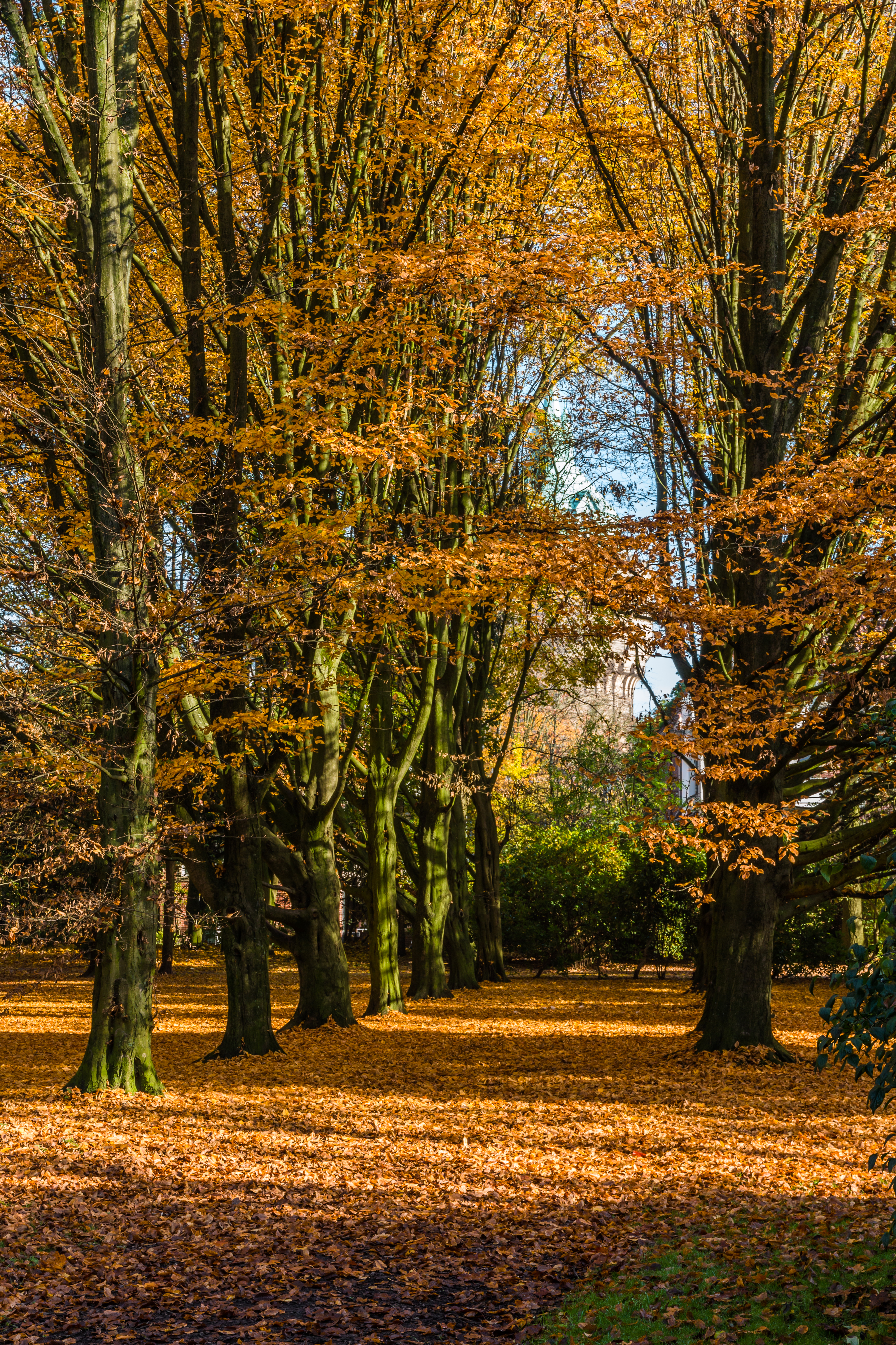 Münster, Park Sentmaring -- 2015 -- 9925