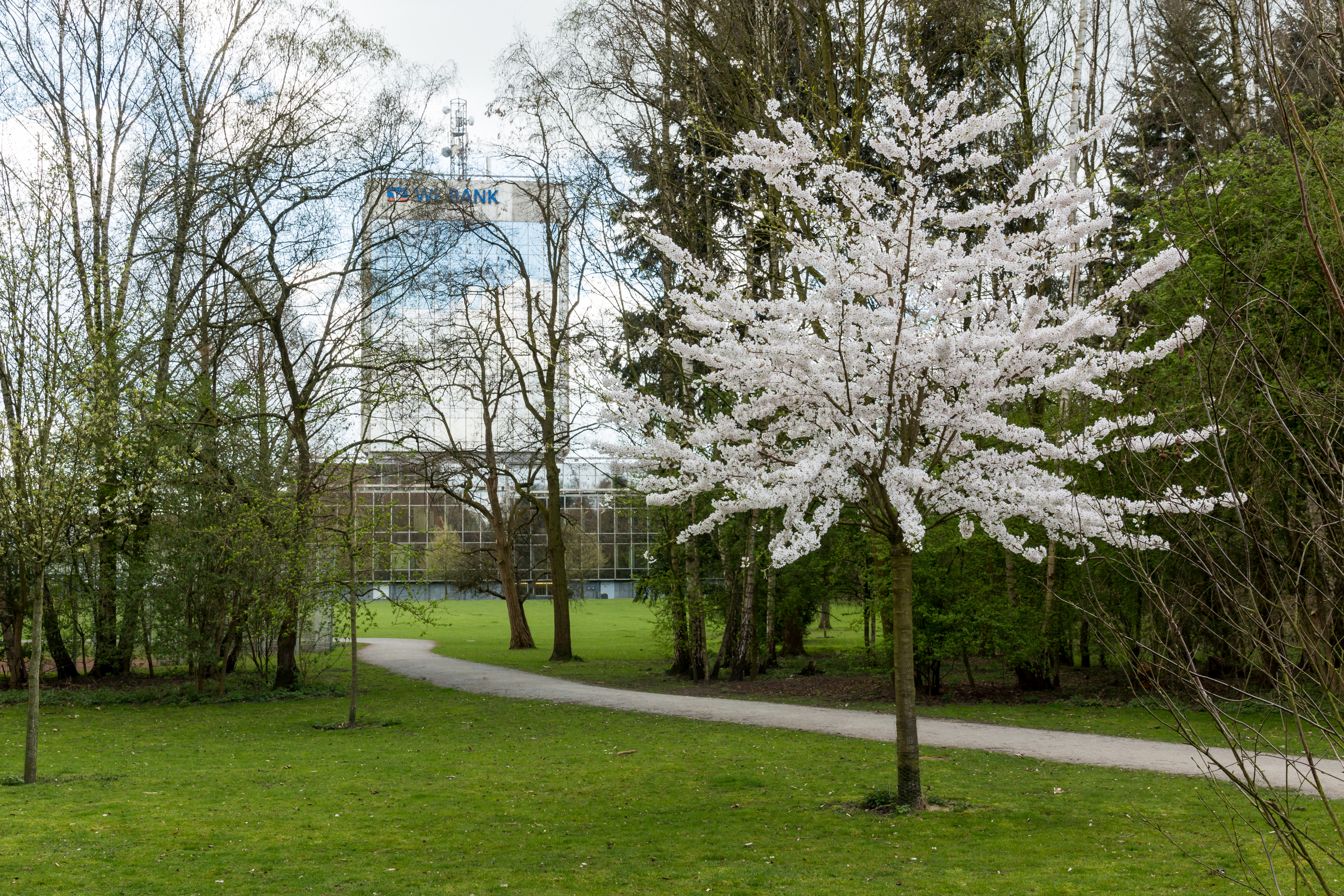 Münster, Park Sentmaring -- 2016 -- 1766