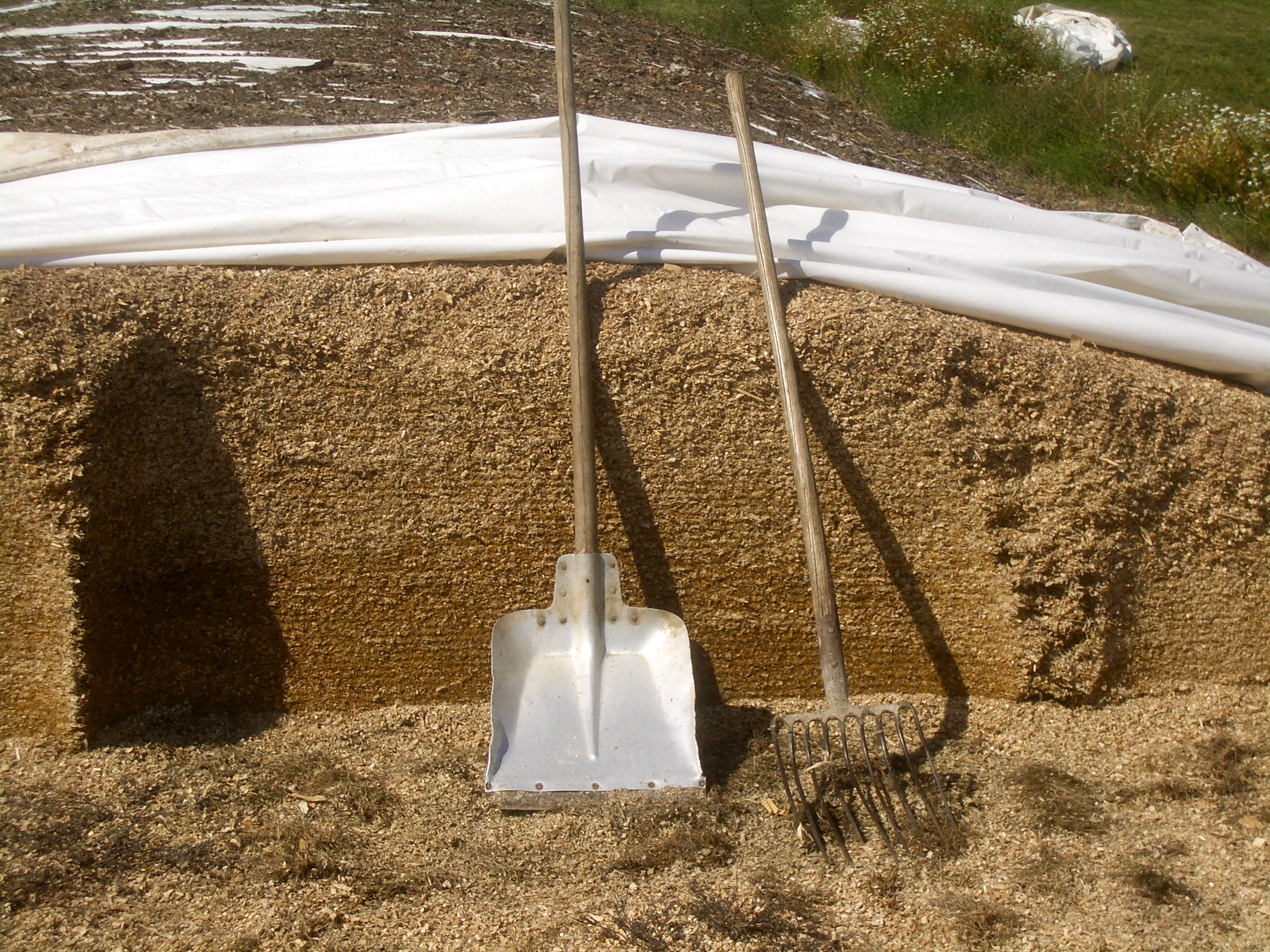 Maissilage Zeilitzheim 1
