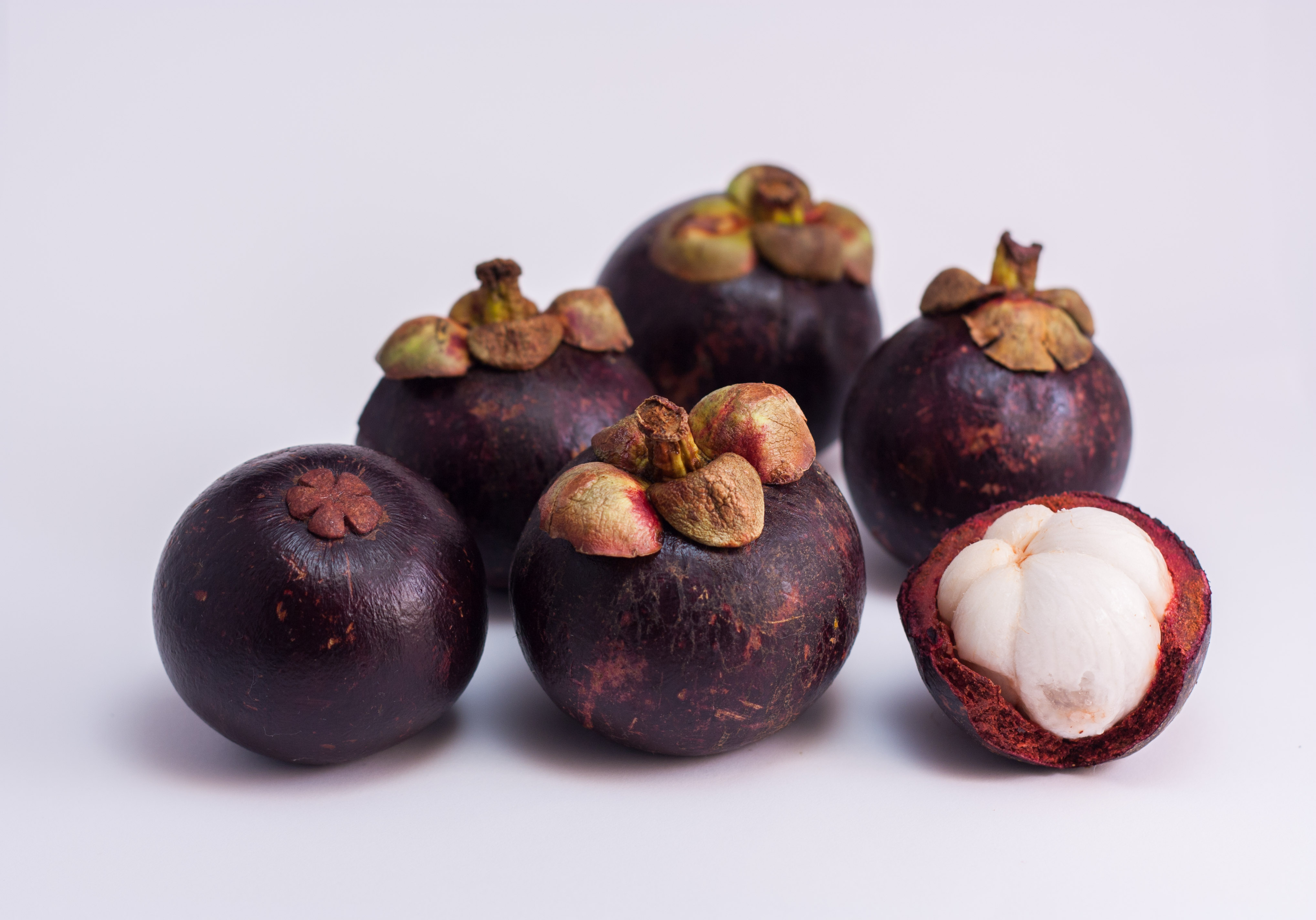 Mangosteen1