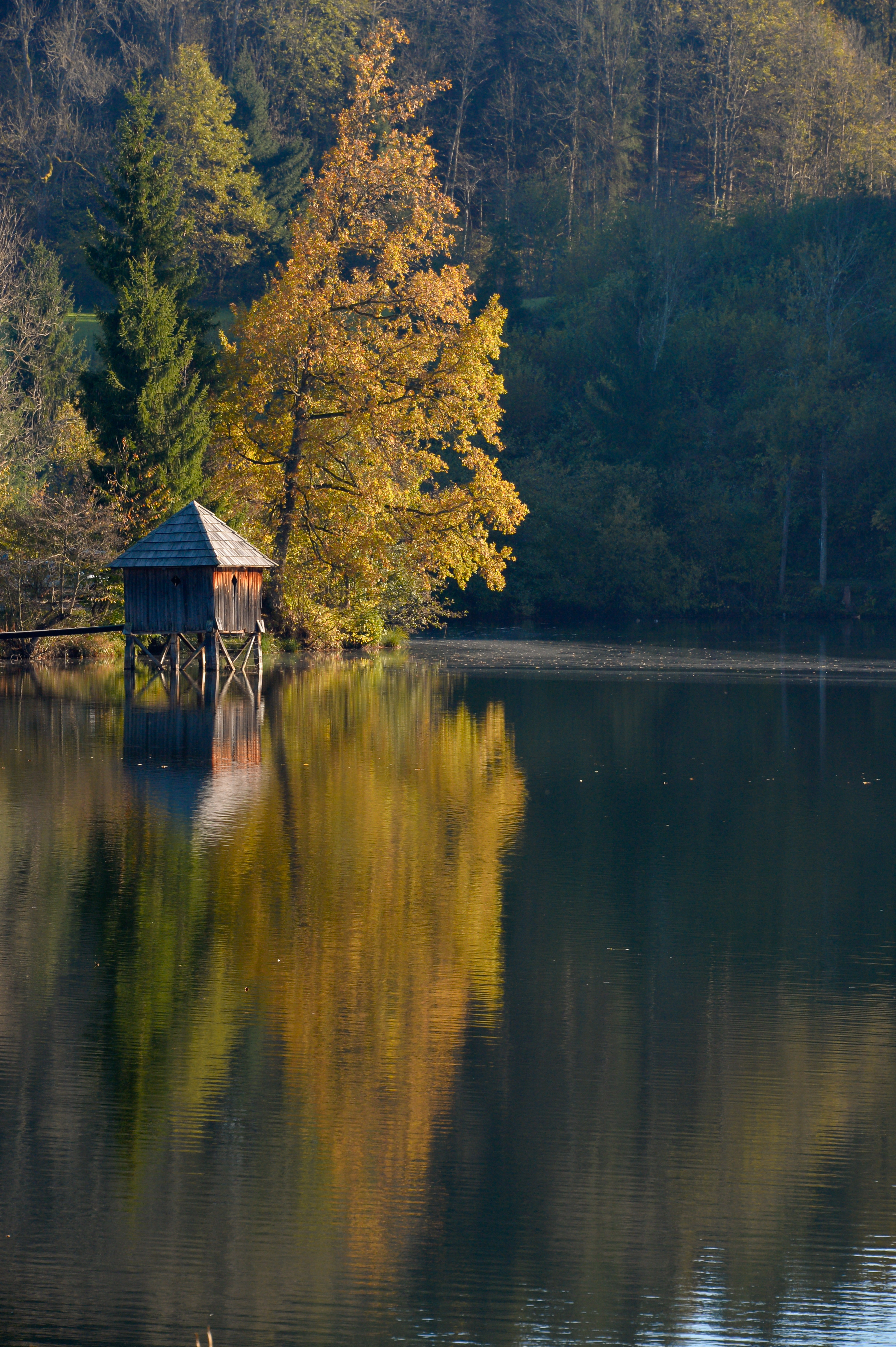 Moosburg Mitterteich Herbststimmung 02112014 553