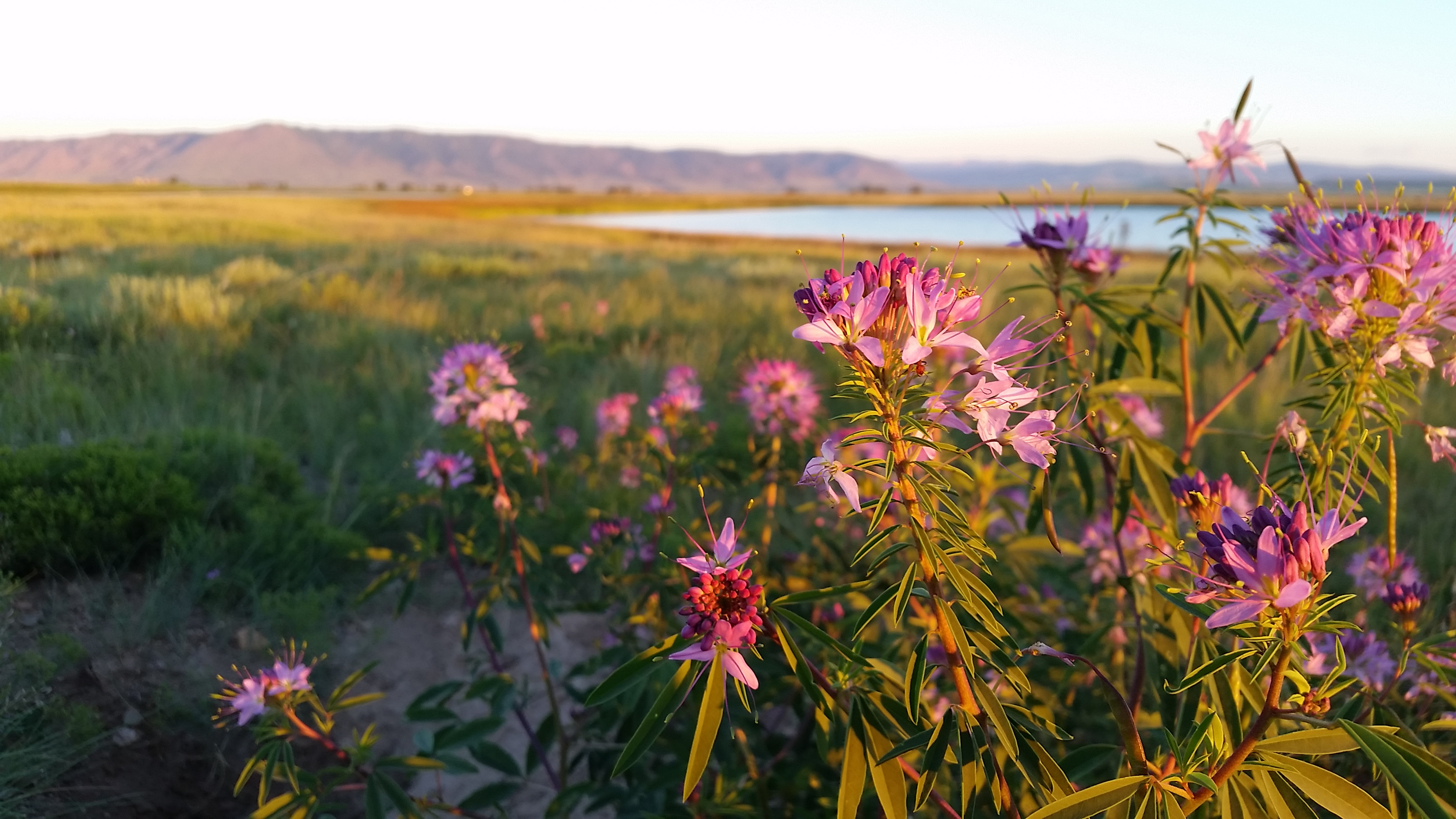 Mortenson Lake National Wildlife Refuge (19437187953)