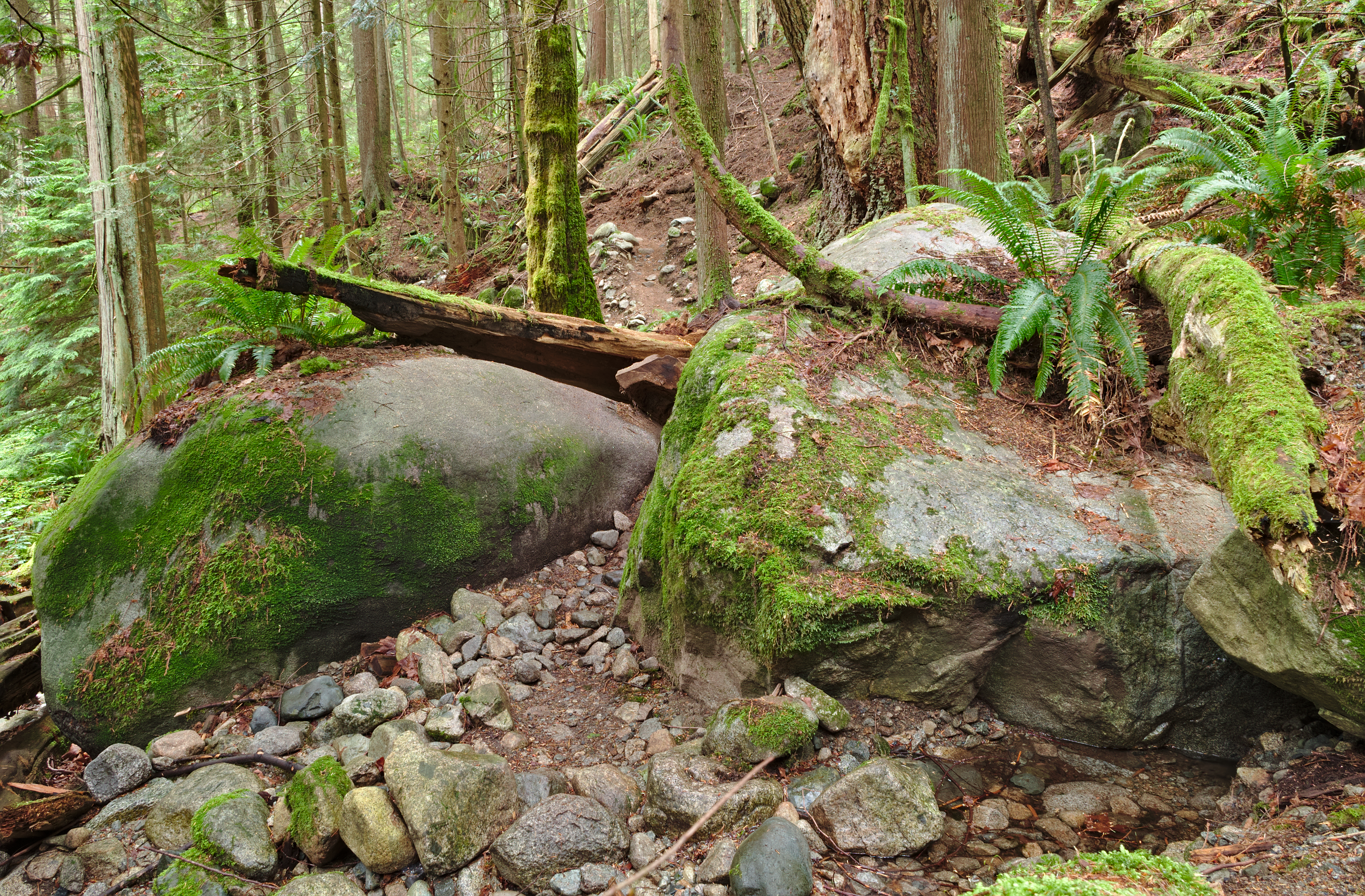 Mount Seymour Provincial Park, BC (DSCF9083)