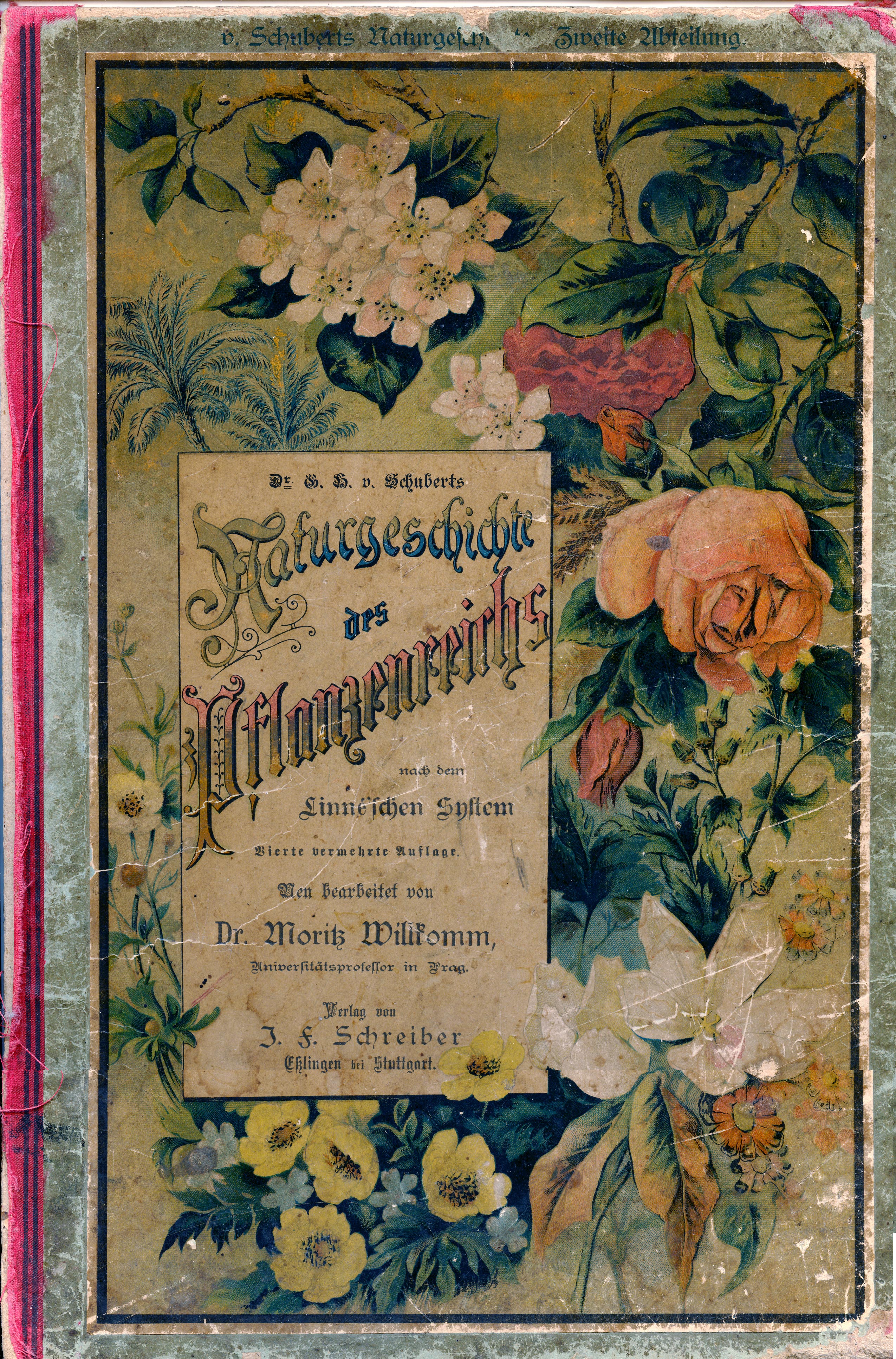 Naturgeschichte-des-Pflanzenreichs