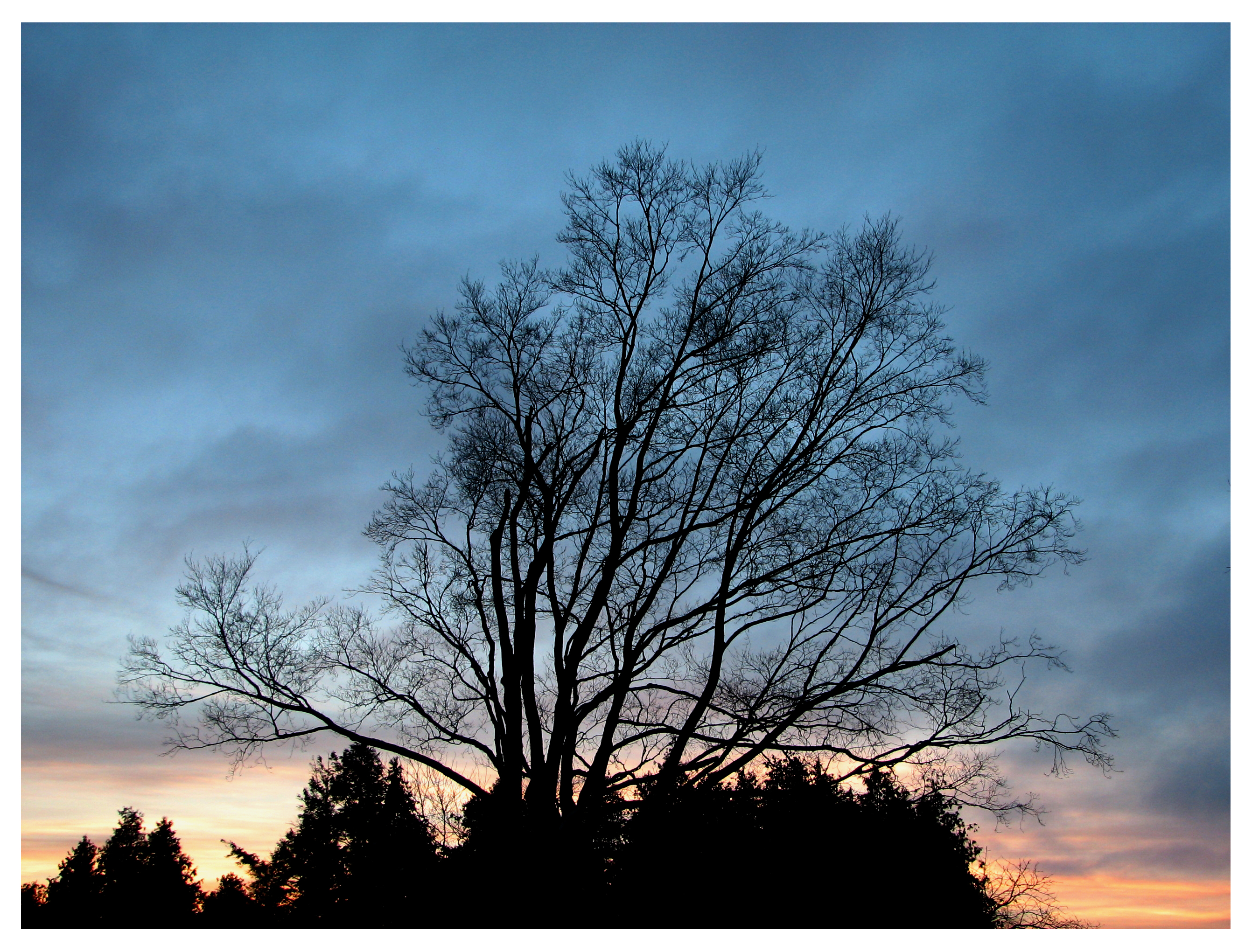 North Oshawa