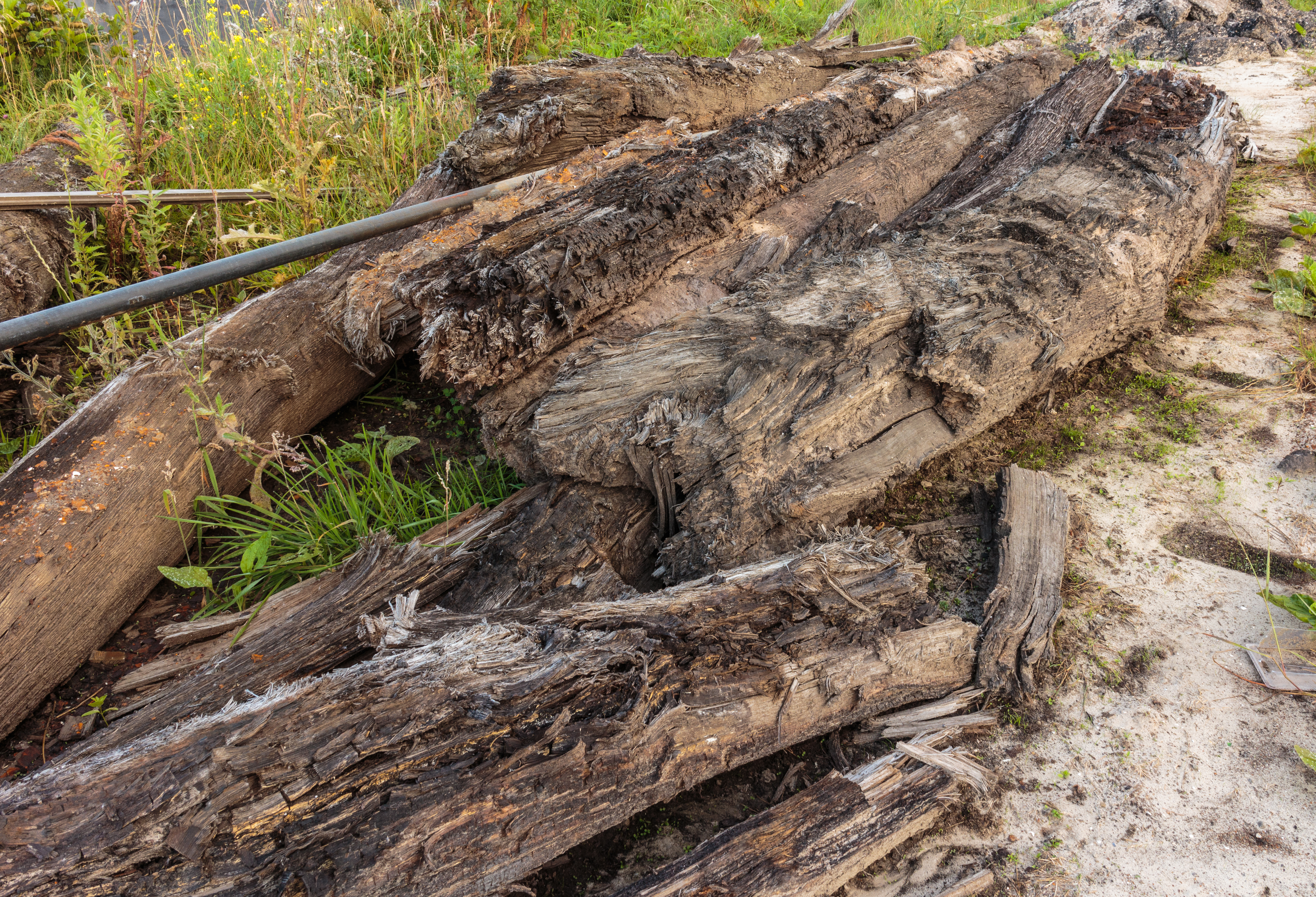 Opgebaggerd hout (Langweerderwielen) 01