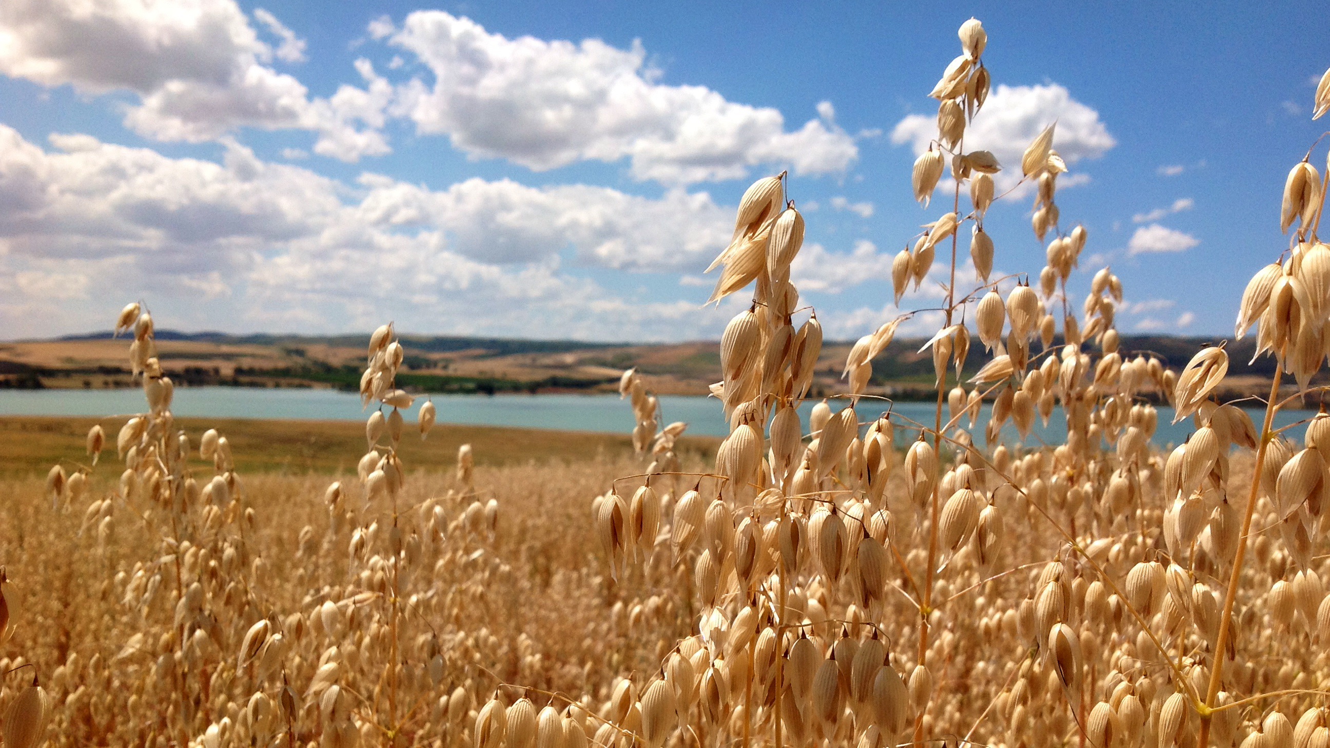 Oued-Zarga