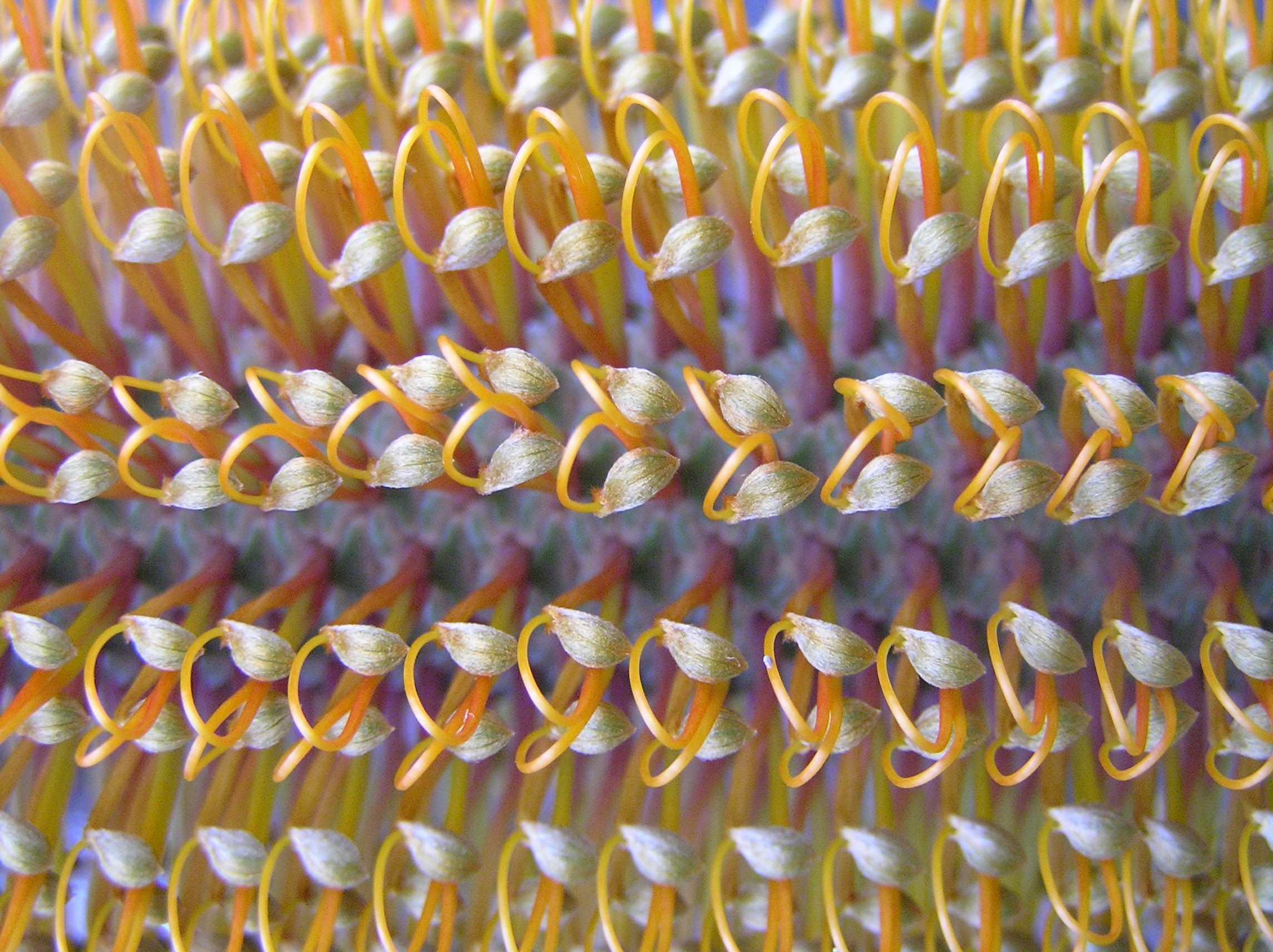 P5130102