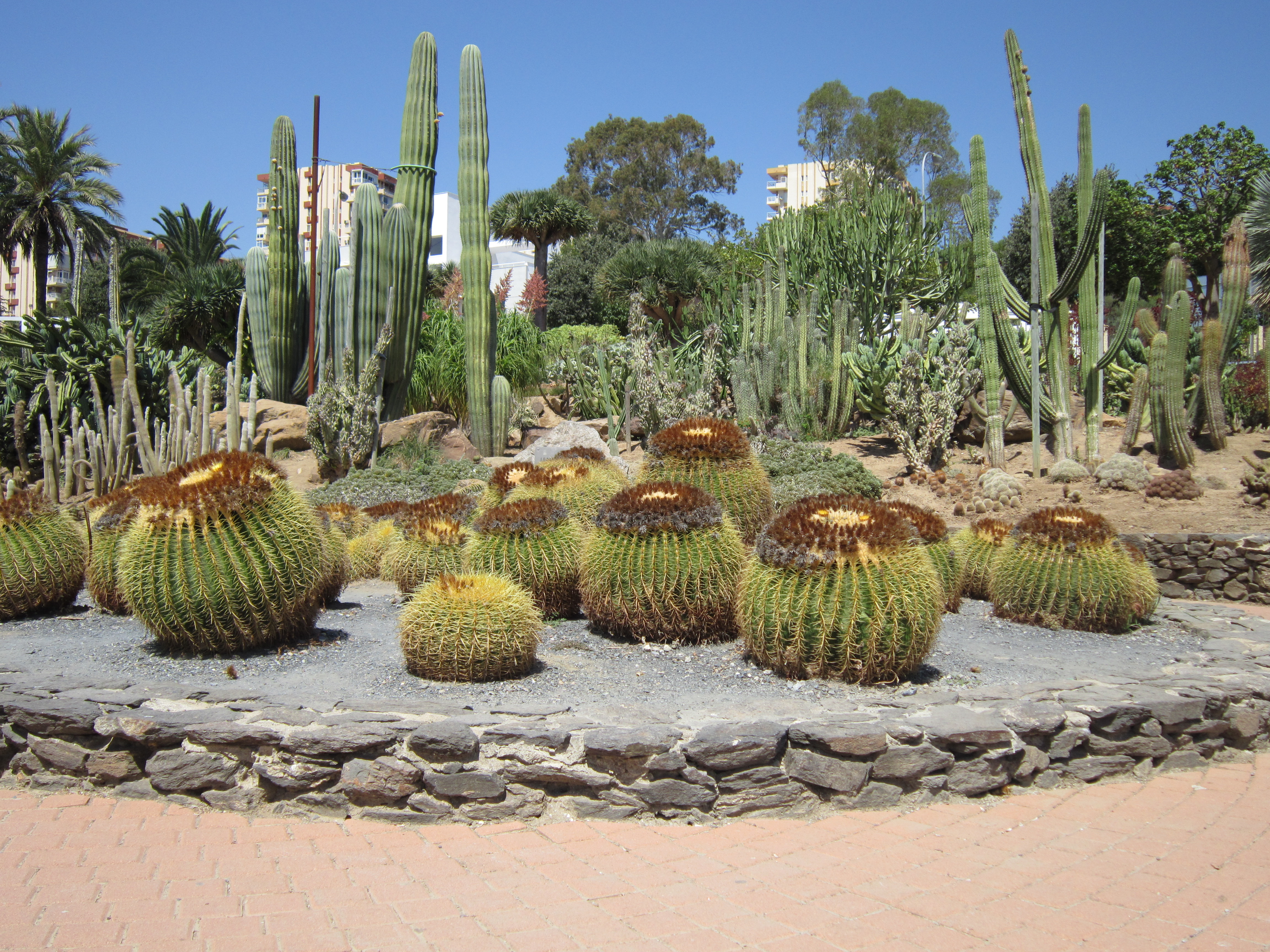 Parc de Paloma 1