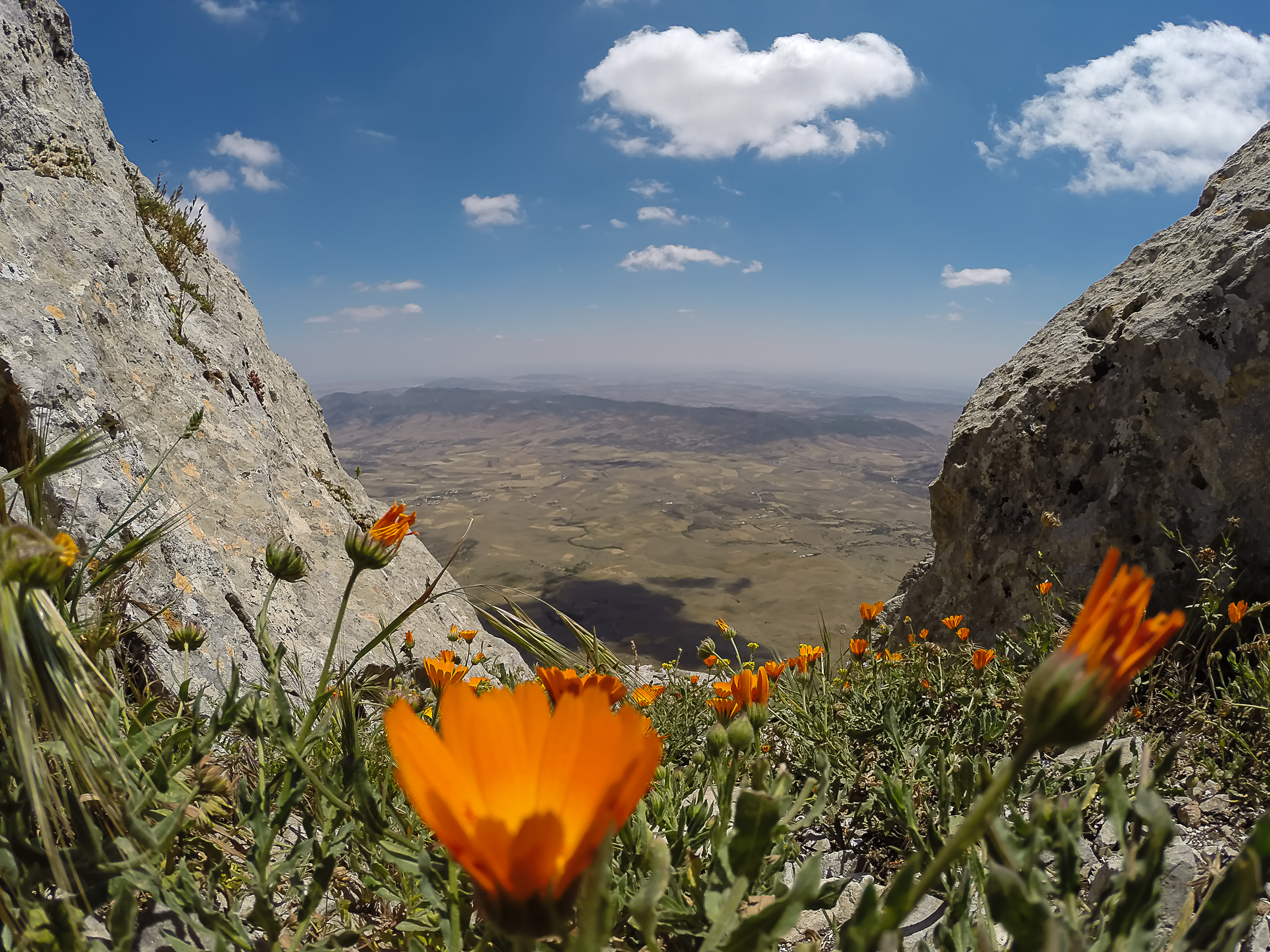 Parc national de Jebel Zaghouan 30
