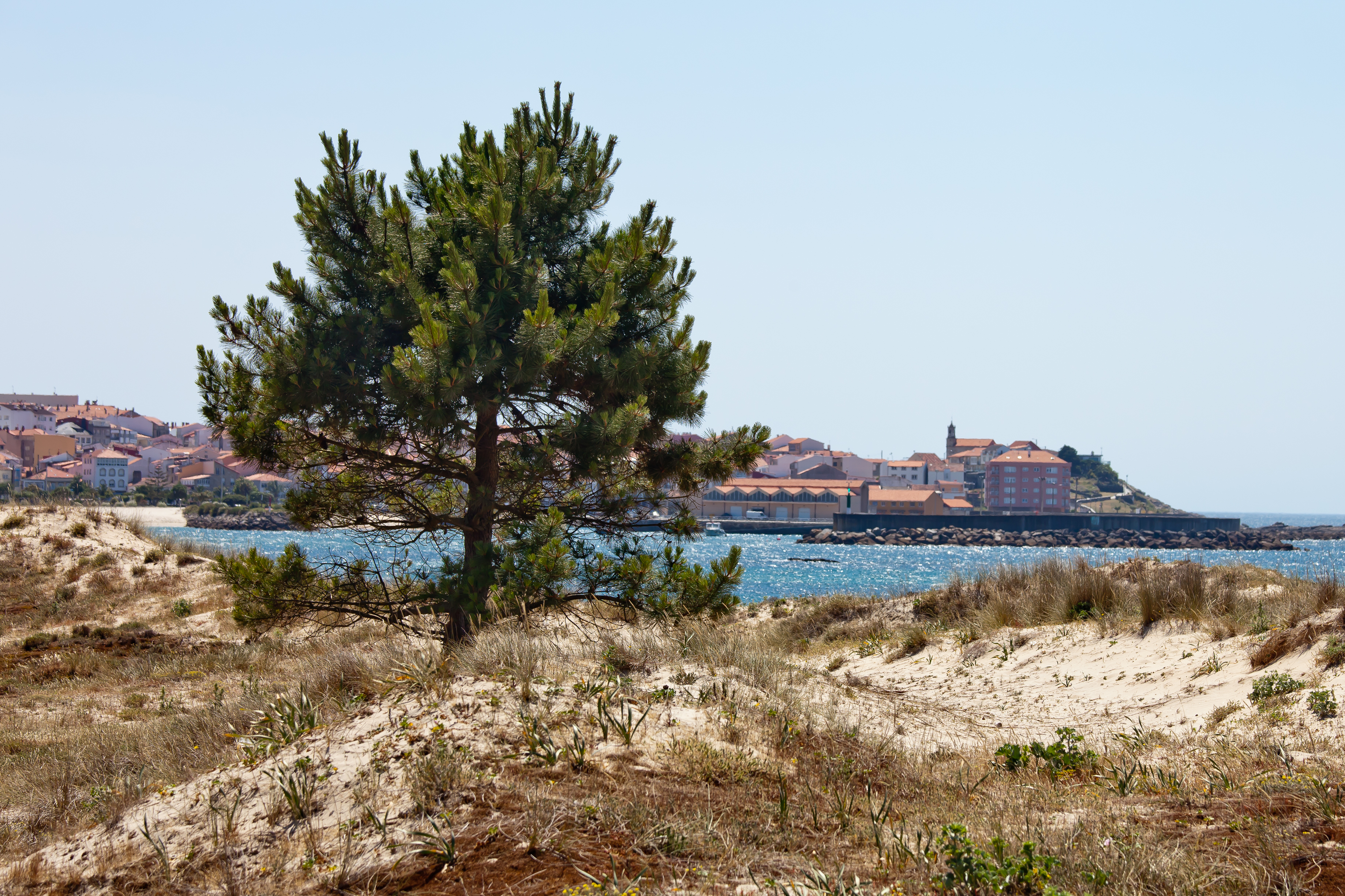 Piñeiro - Porto do Son 2011-05-27