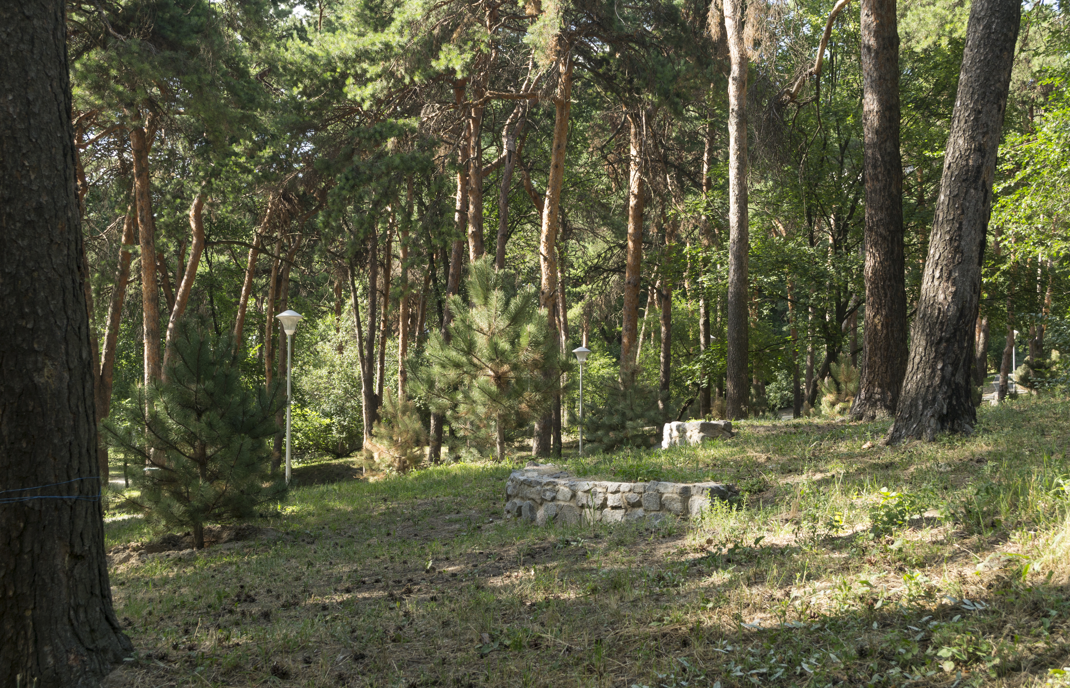 Pine Hill Park