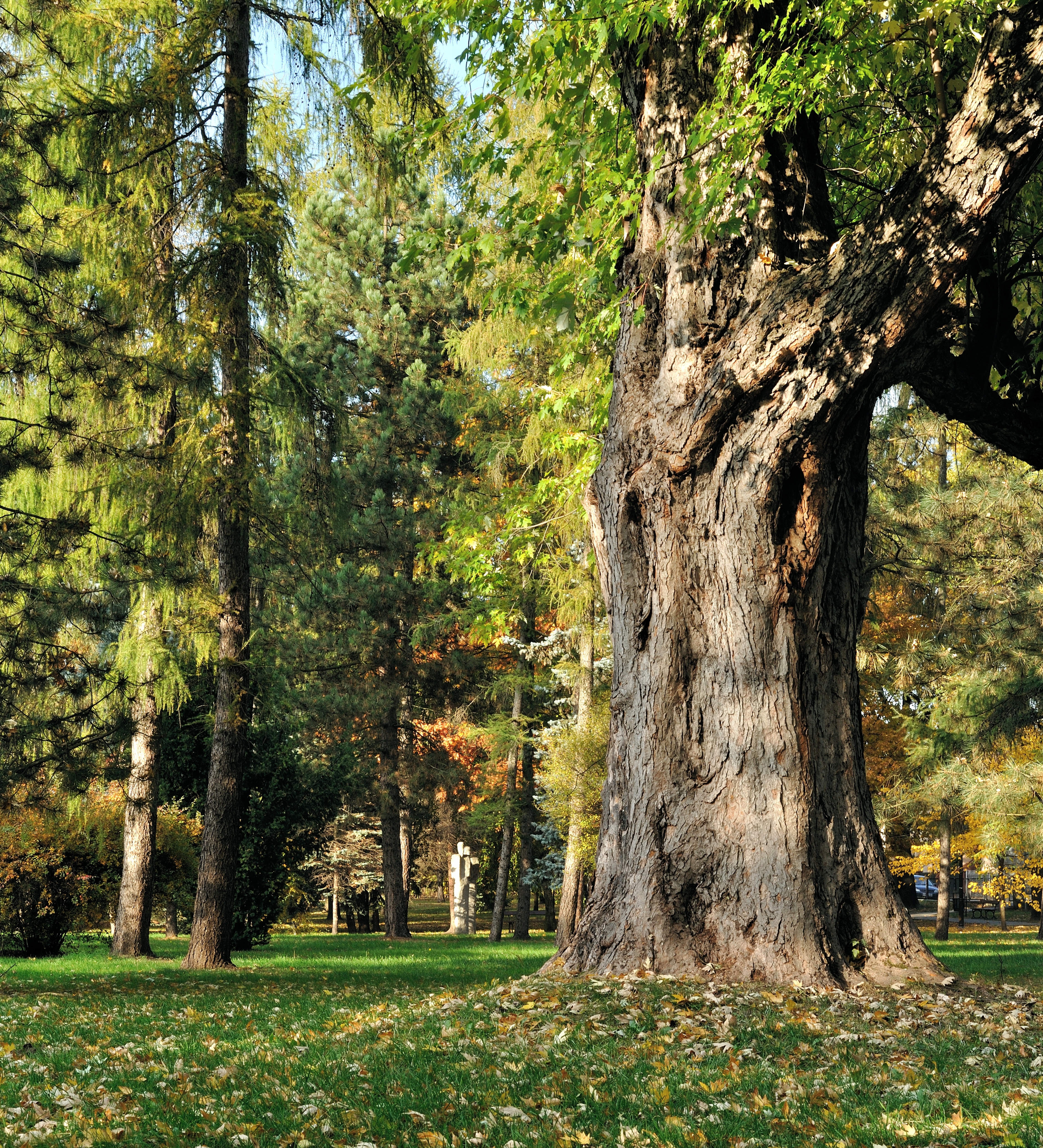 PL-PK Mielec, Park Oborskich 2013-10-13--15-42-16-001