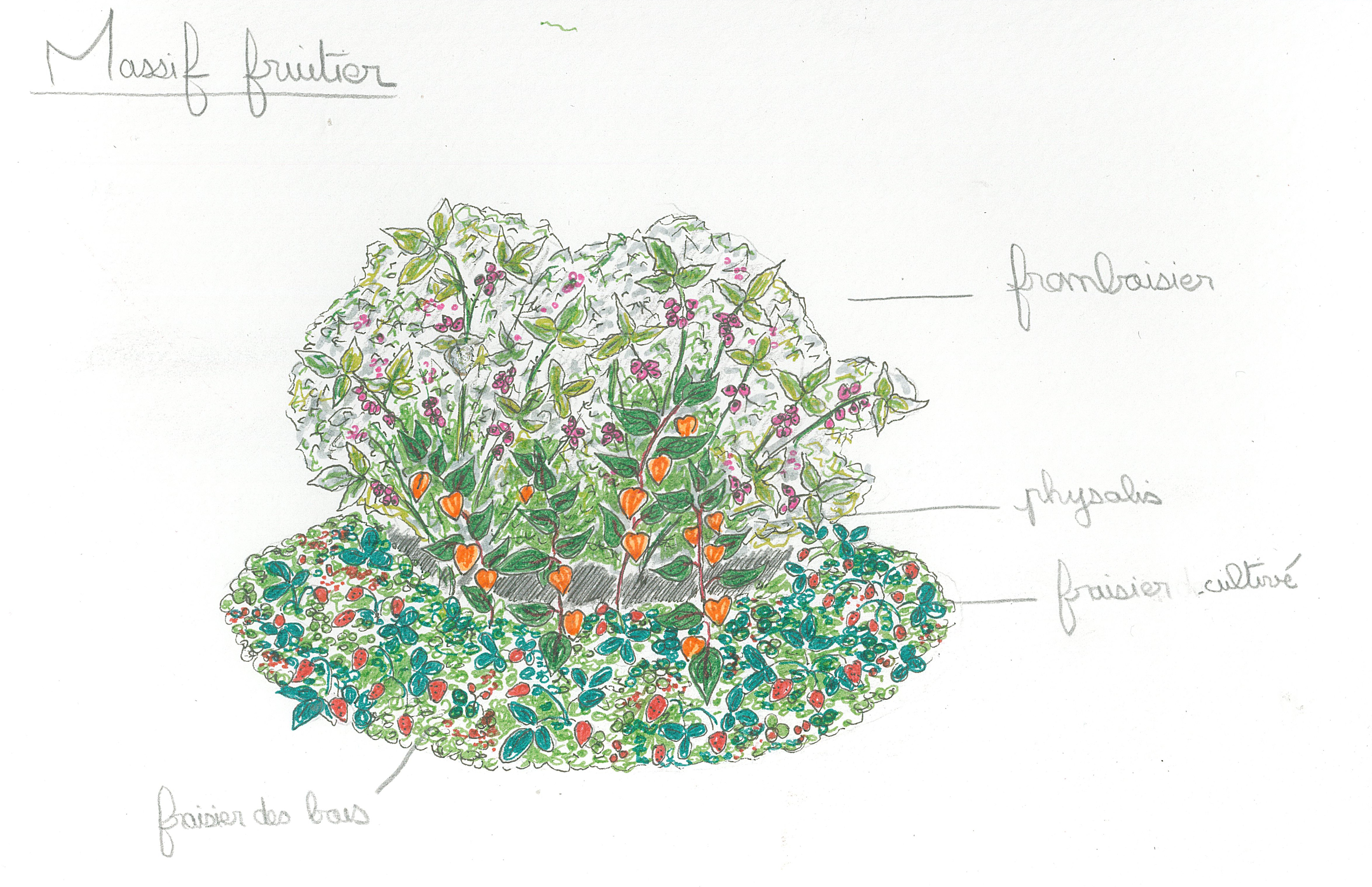 Platebande.massif.fruitier