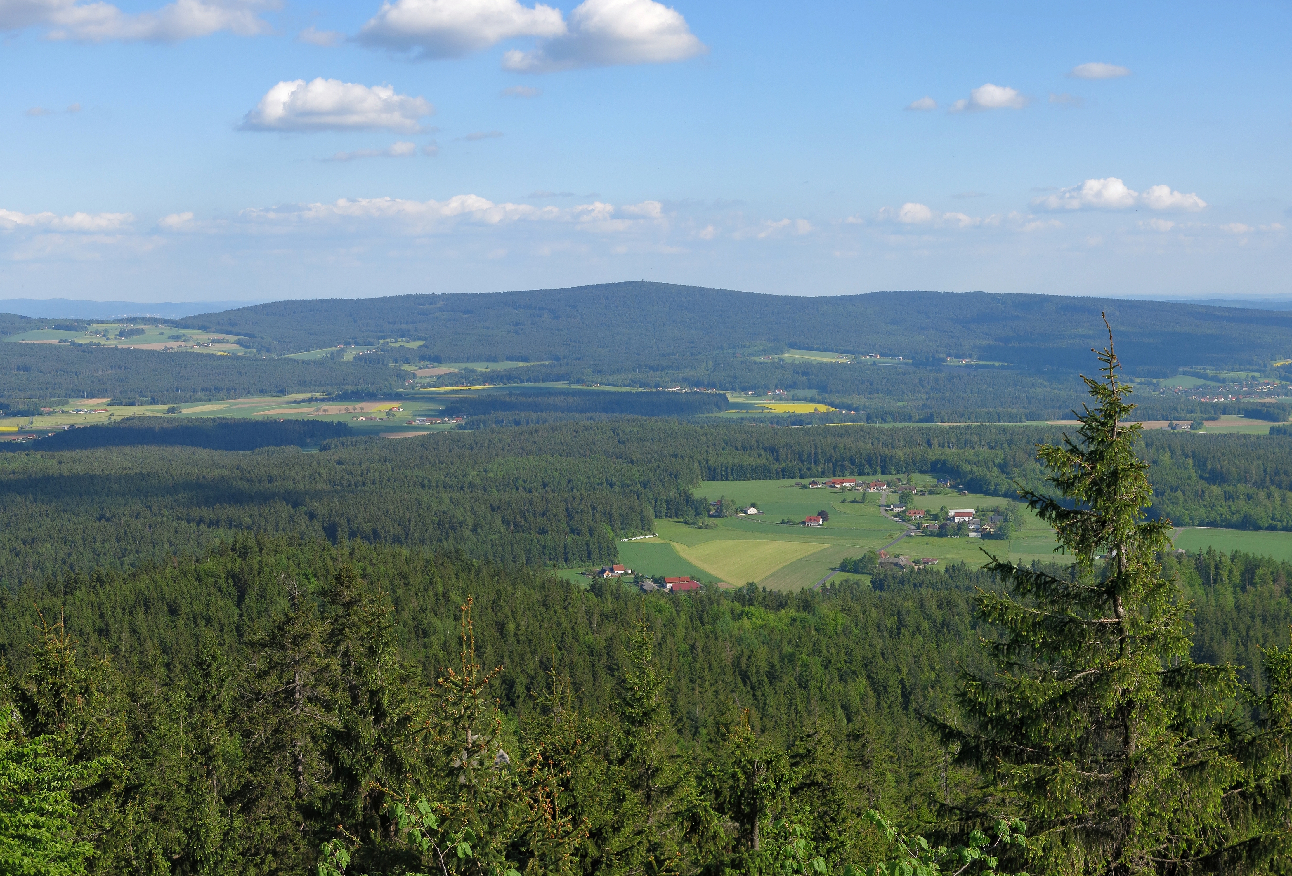 Platte-Steinwald