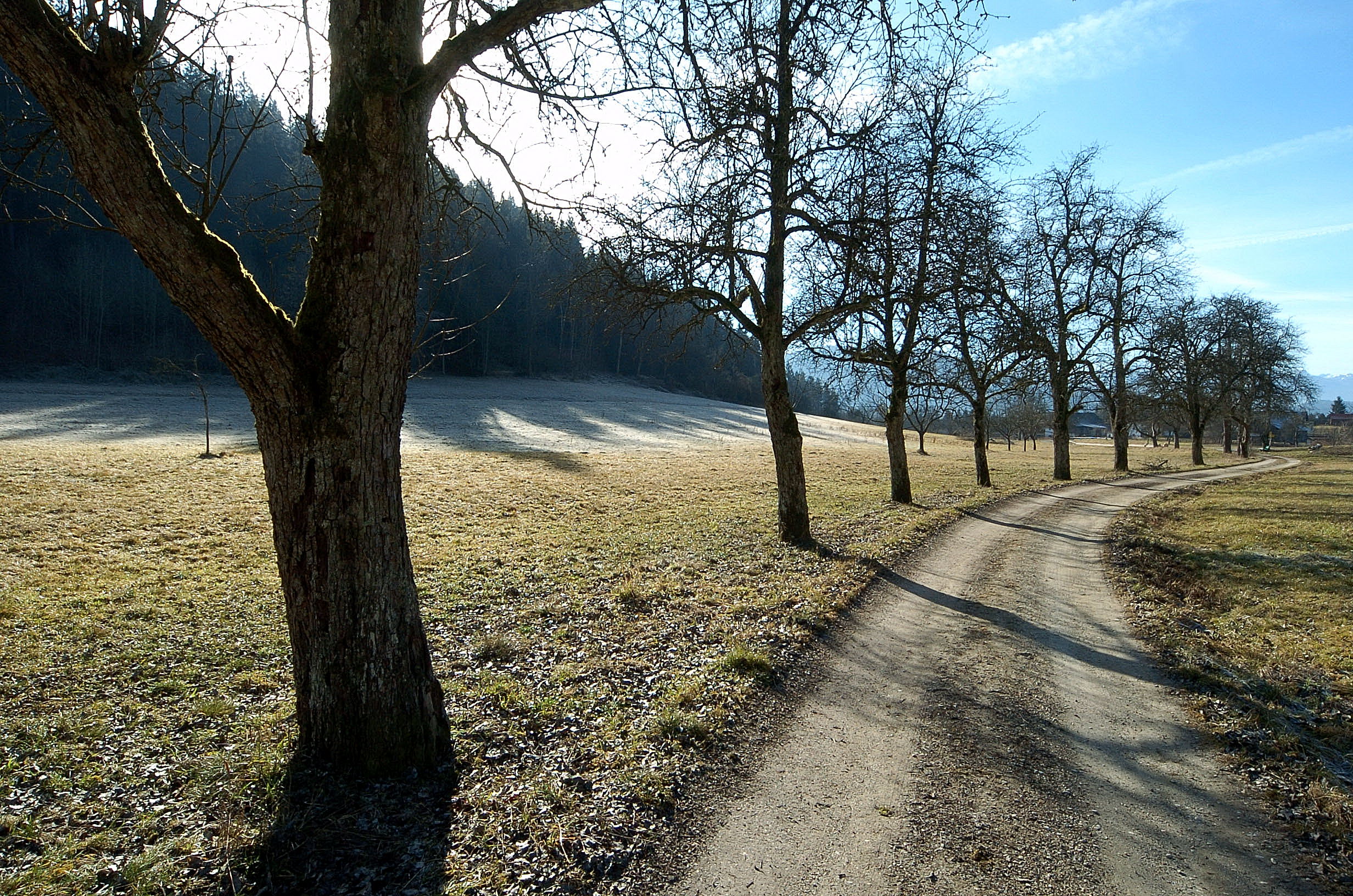 Poertschach Winlern Gaisrueckenstrasse 26012008 06