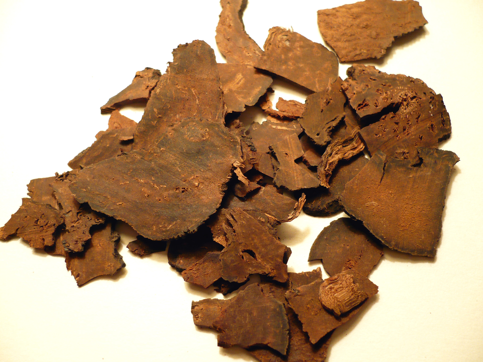 Polygonummultiflorumrootdried