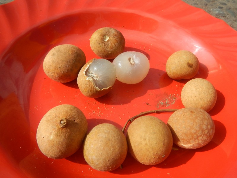 09929jfCuisine Breads Fruits Baliuag Landmarks Bulacanfvf 21