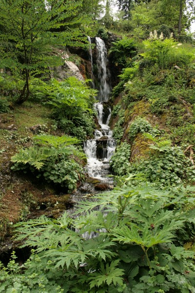 0 Jardin botanique alpin La Jaÿsinia - Samoëns (4)