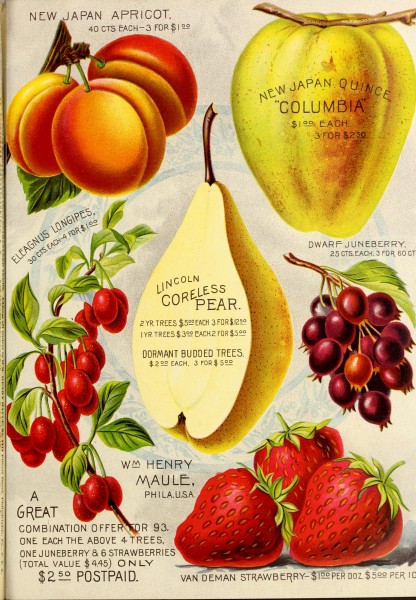 1893 Maule's seed catalogue BHL42541349