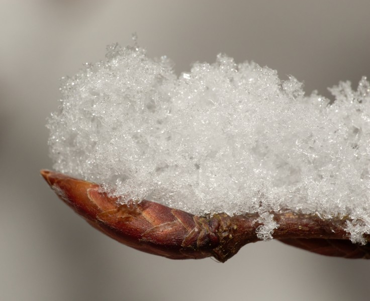 2012-12-08 11-27-57-neige