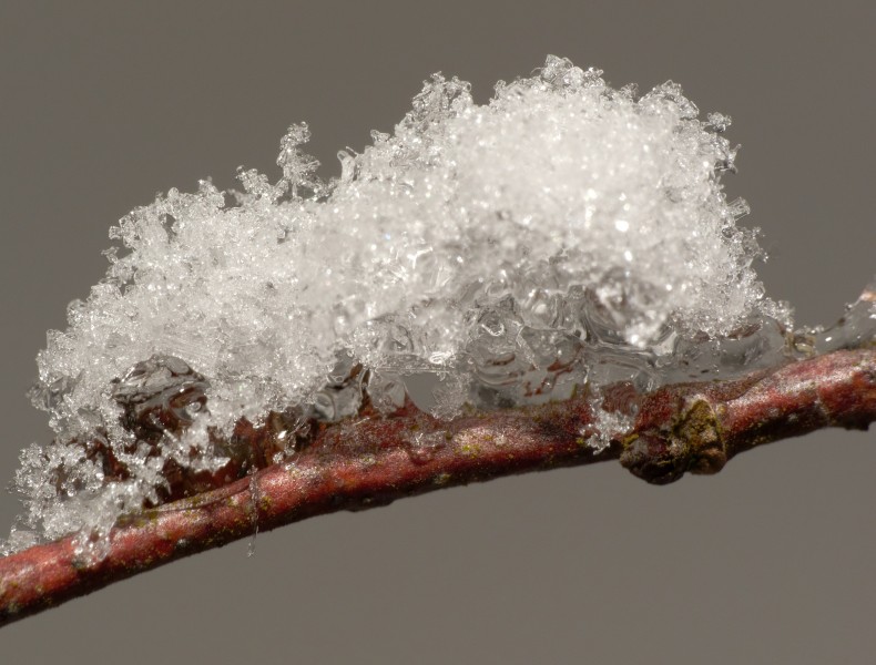 2012-12-08 11-29-34-neige