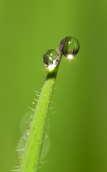 2013-05-11 22-07-22-gouttes