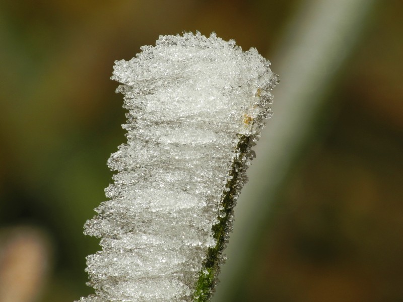 2013-12-13 08-02-39 givre