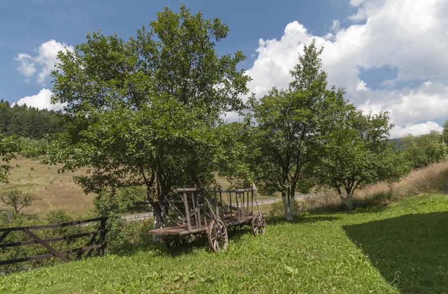 2014 Pstrążna, wóz w skansenie