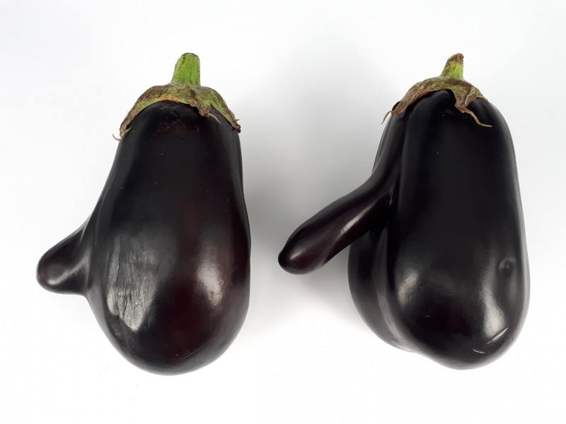 2 x Mutant eggplant 2017 A