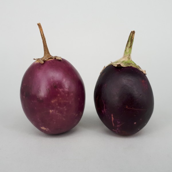 2 x Ratna eggplant 2017 B1