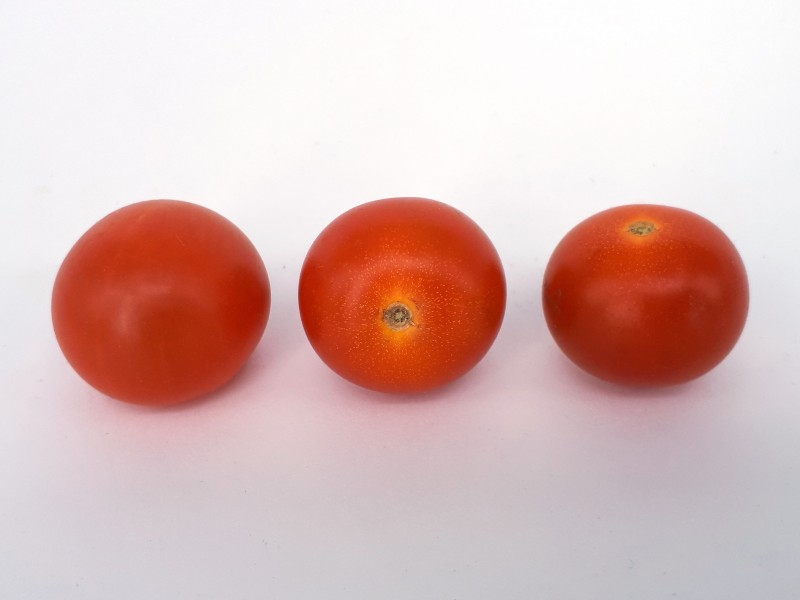3 x Cherry Nebula tomato 2017 A2