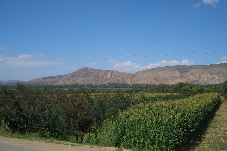5881-Linxia-County-Daxiahe-valley-fields