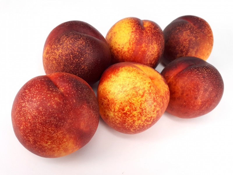 6 x Spotted nectarine 2017 A