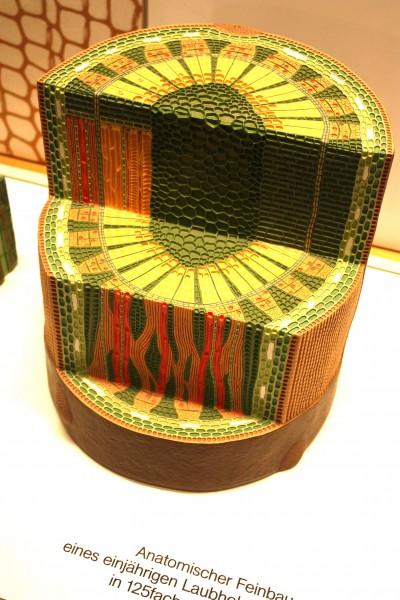 Überseemuseum Bremen 2009 252