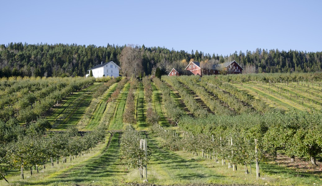 Øvre Stoppen (2)