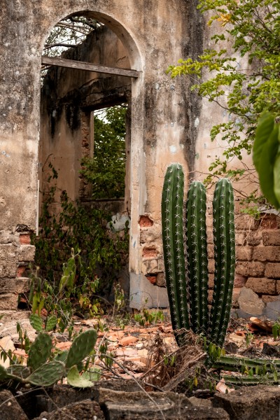 Abandoned house in the former lepers Island, Lake Maracaibo 3