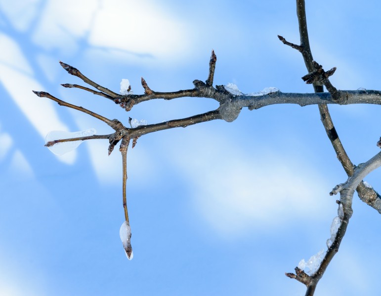 Aftermath of January 2018 North American blizzard 14