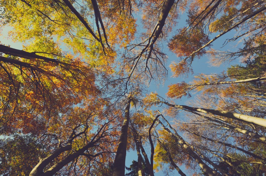 Ales Krivec 2014-10-14 (Unsplash)