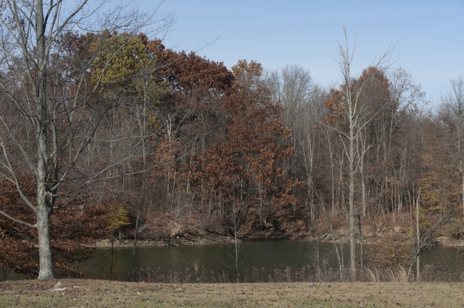 Alum Creek State Park in November 1