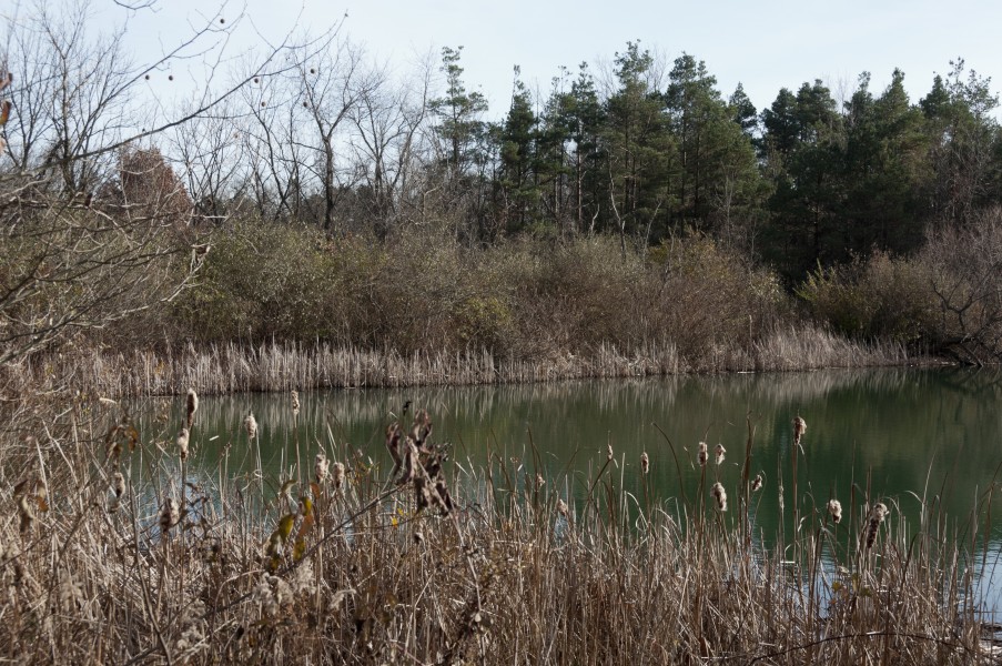 Alum Creek State Park Trail 1